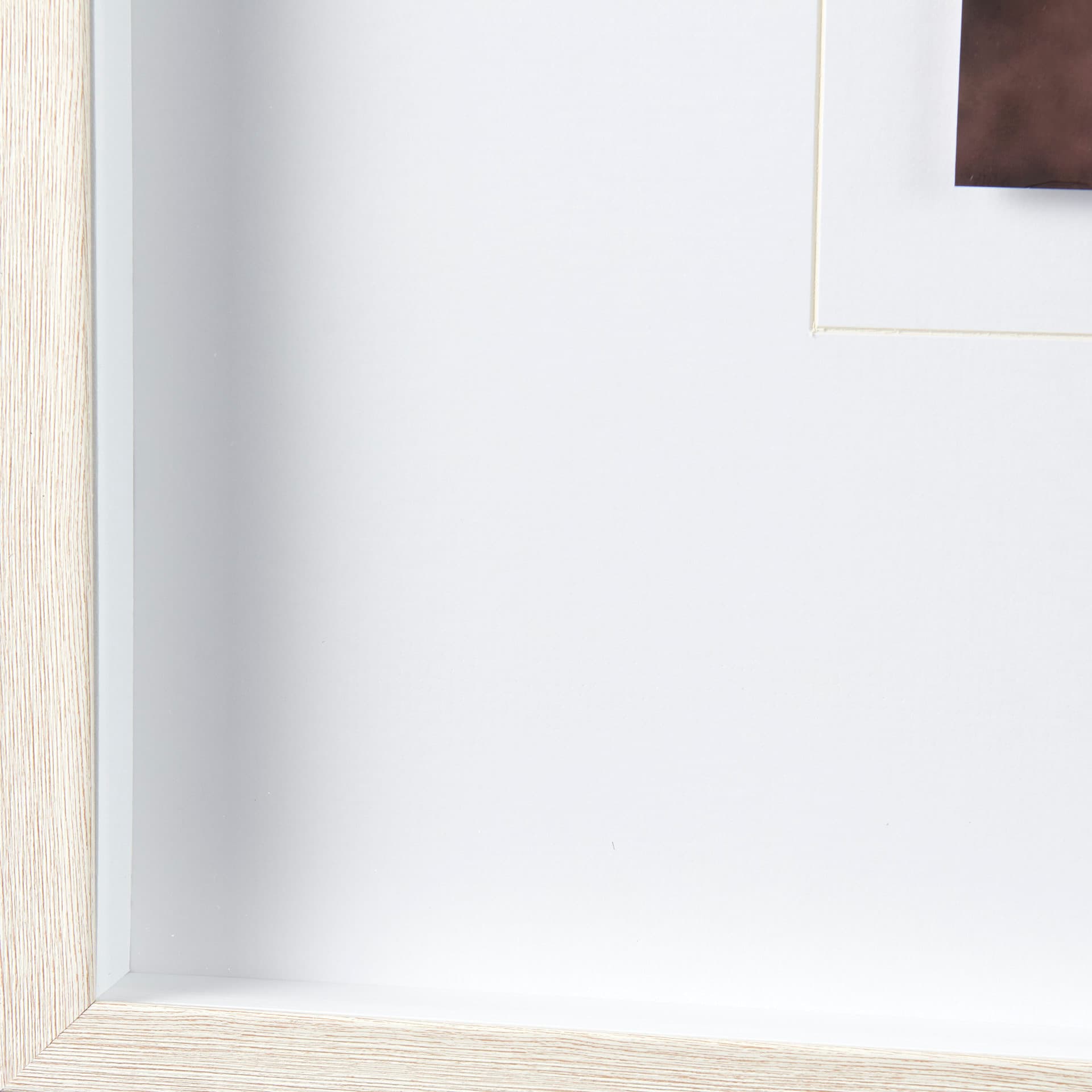 Wild Mane by Mercana Studio a Framed Photo Art Print Matted under Glass — product photograph