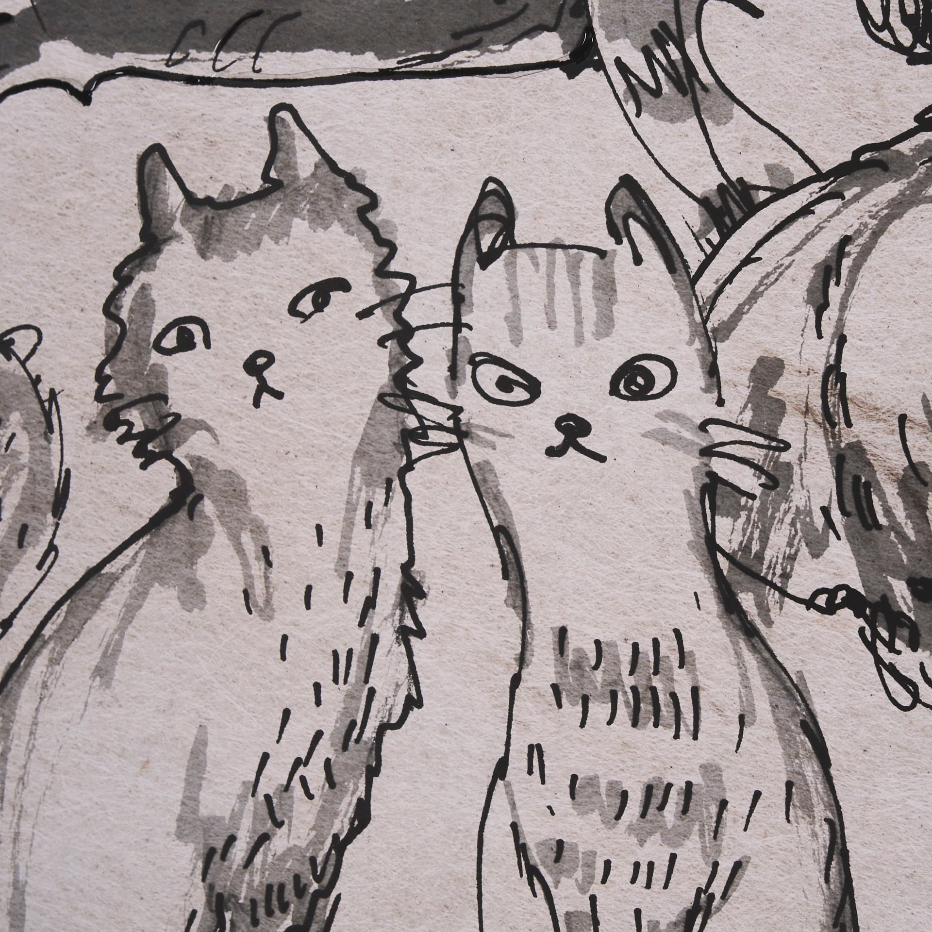 Cat Sketch by Mercana Studio a Hand Embellished Framed Art Print Matted under Glass — product photograph