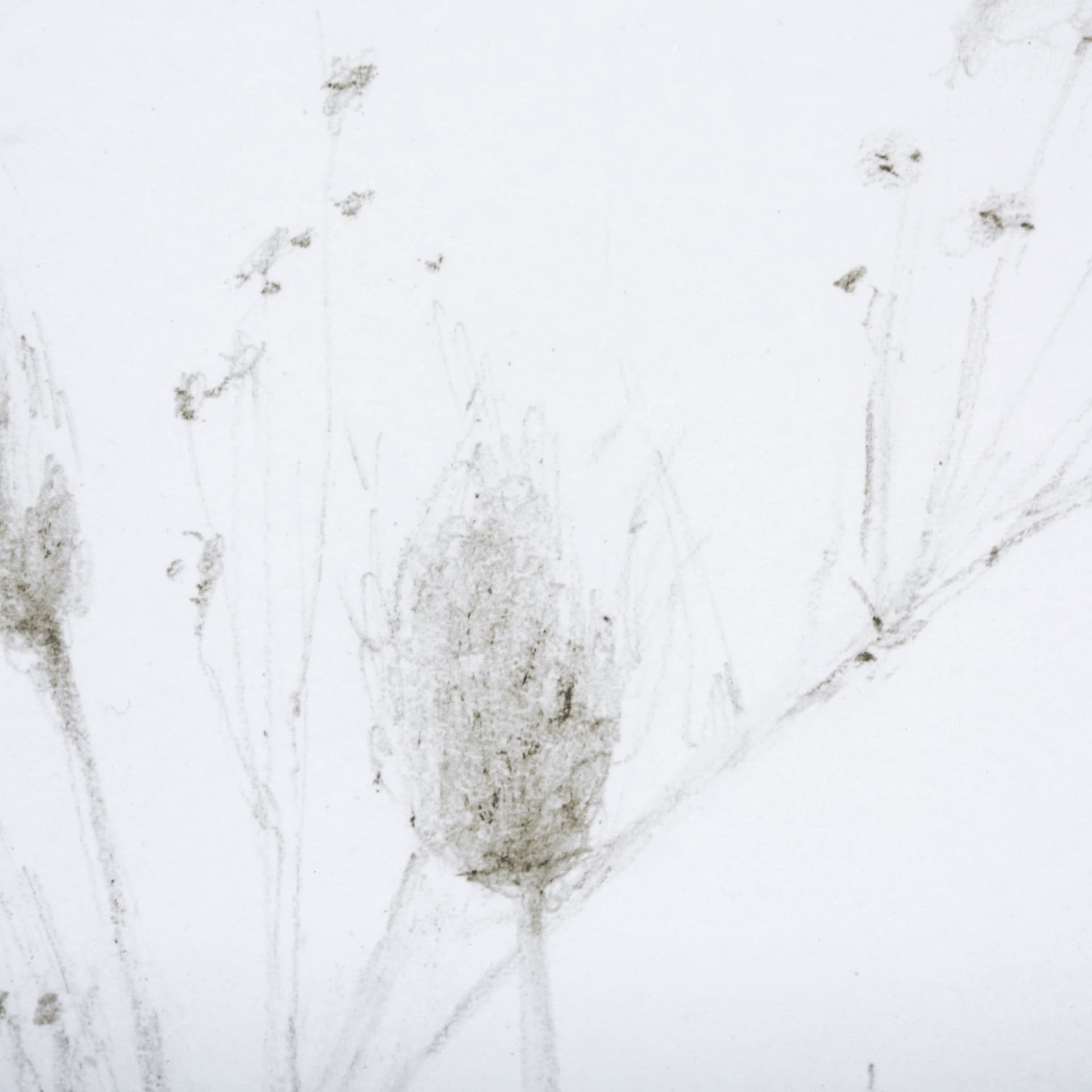 Growing Along The River I by Mercana Studio a Framed Art Print Matted under Glass — product photograph