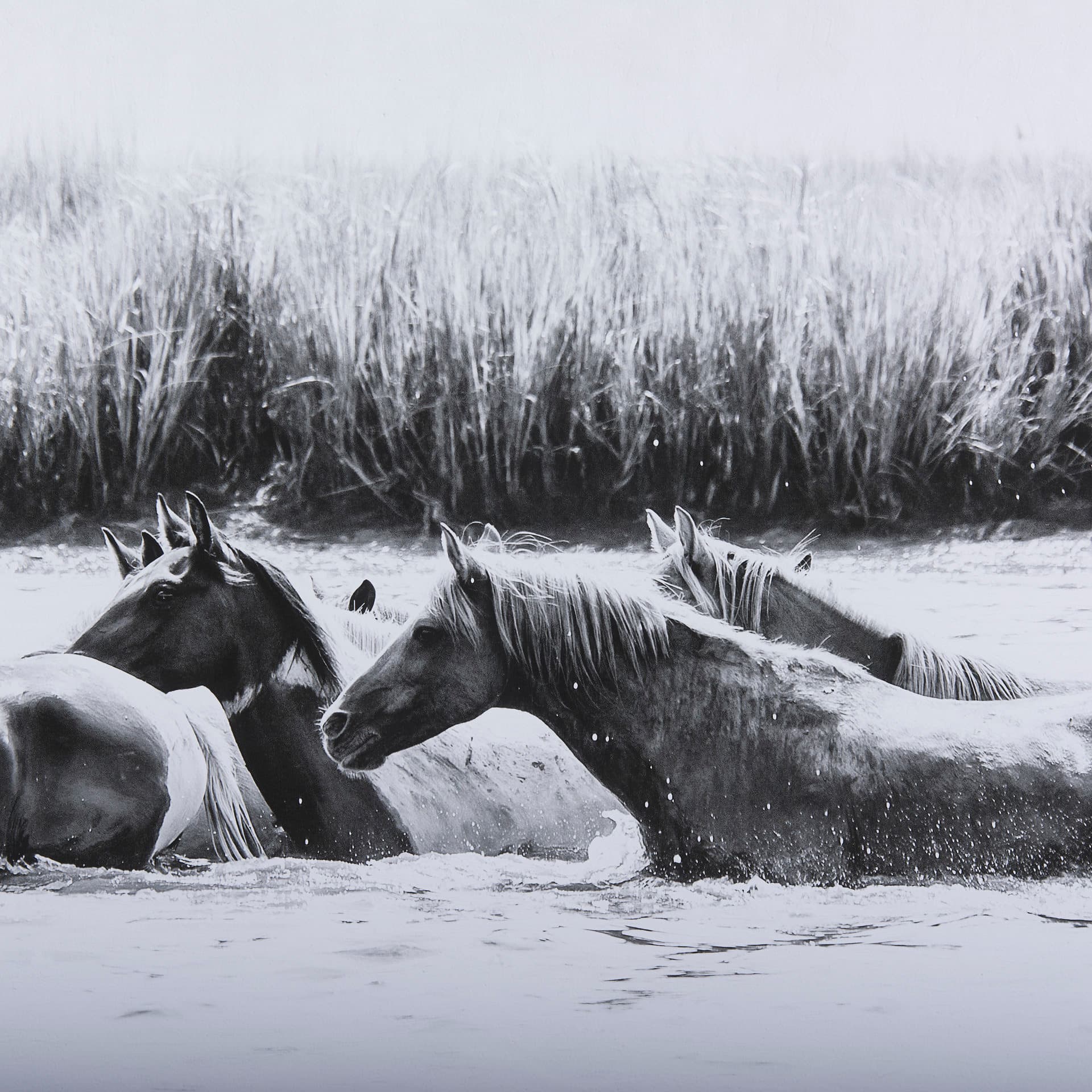 Water Horses III by PHBurchett a Framed Photo Art Print Matted under Glass — product photograph