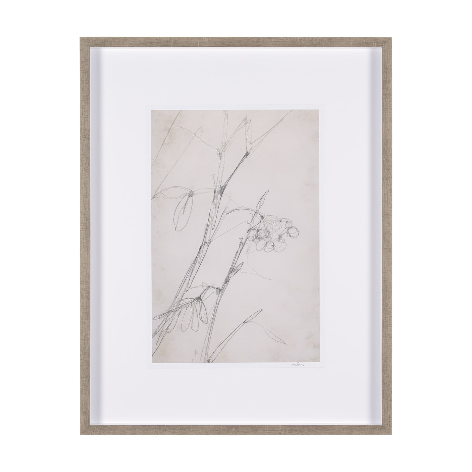 Chokecherry 1 by Mercana Studio a Hand Embellished Framed Art Print Matted under Glass — product photograph