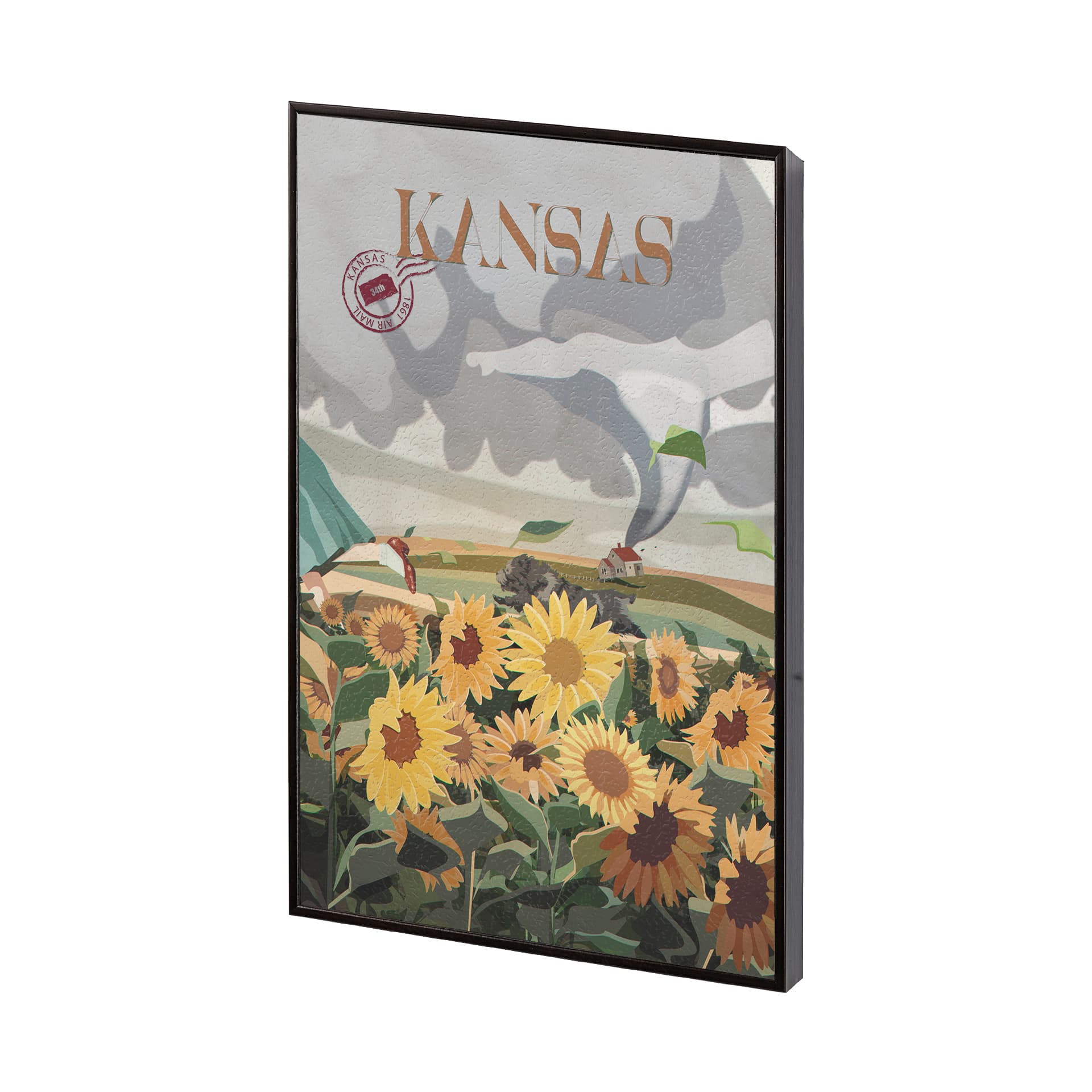 Kansas Go USA (SM) by Mercana Studio a Hand Embellished Decograph Framed Art Print — product photograph