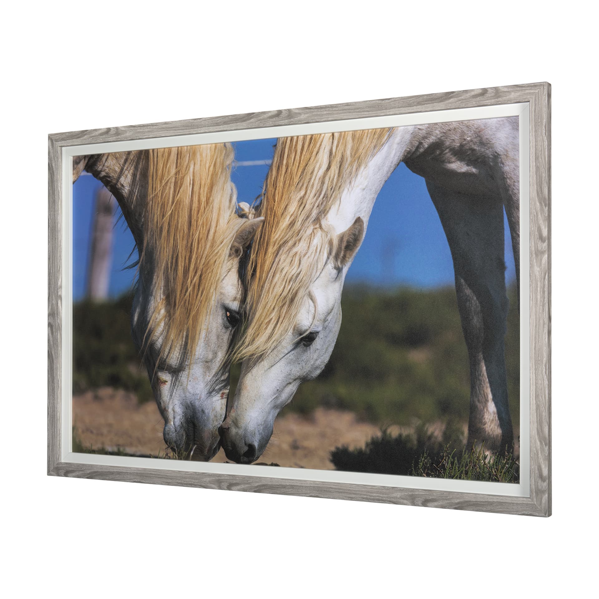 Nuzzled Together by Mercana Studio a Hand Embellished Textured Framed Art Photo Matted under Glass — product photograph