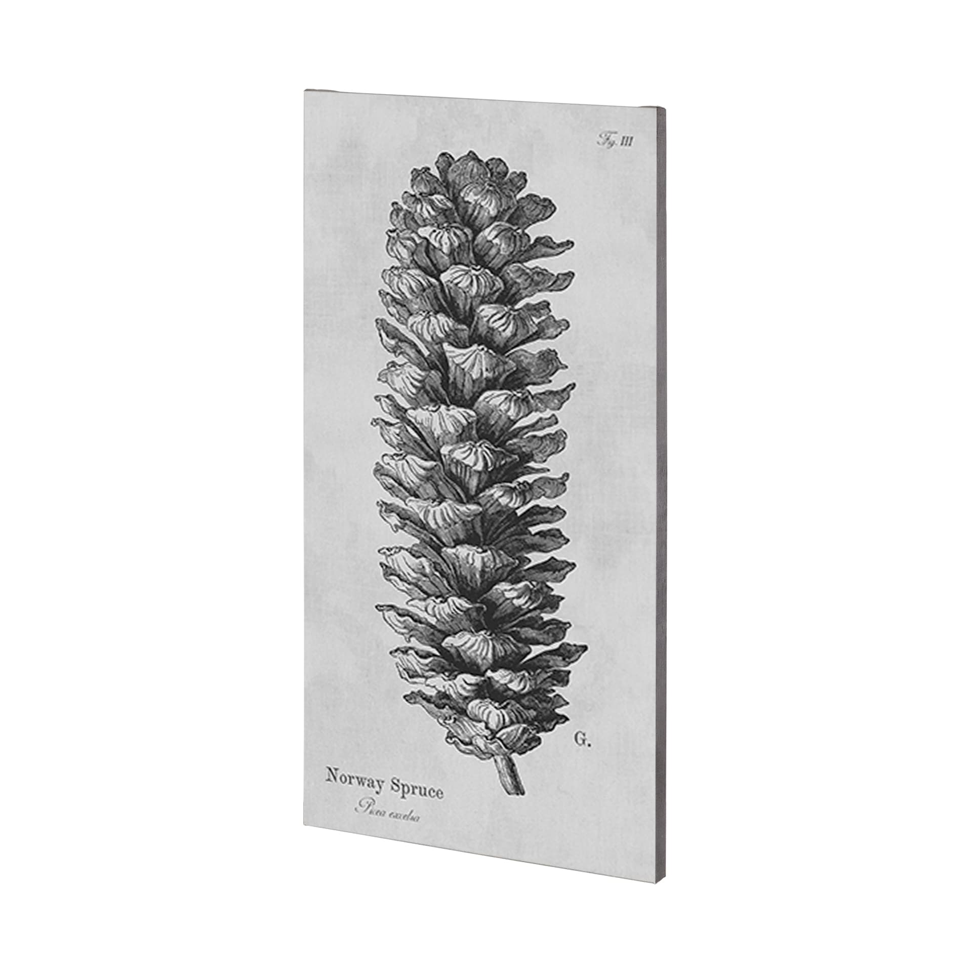 Norway Spruce by Mercana Studio a Hand Embellished Textured Canvas — product photograph