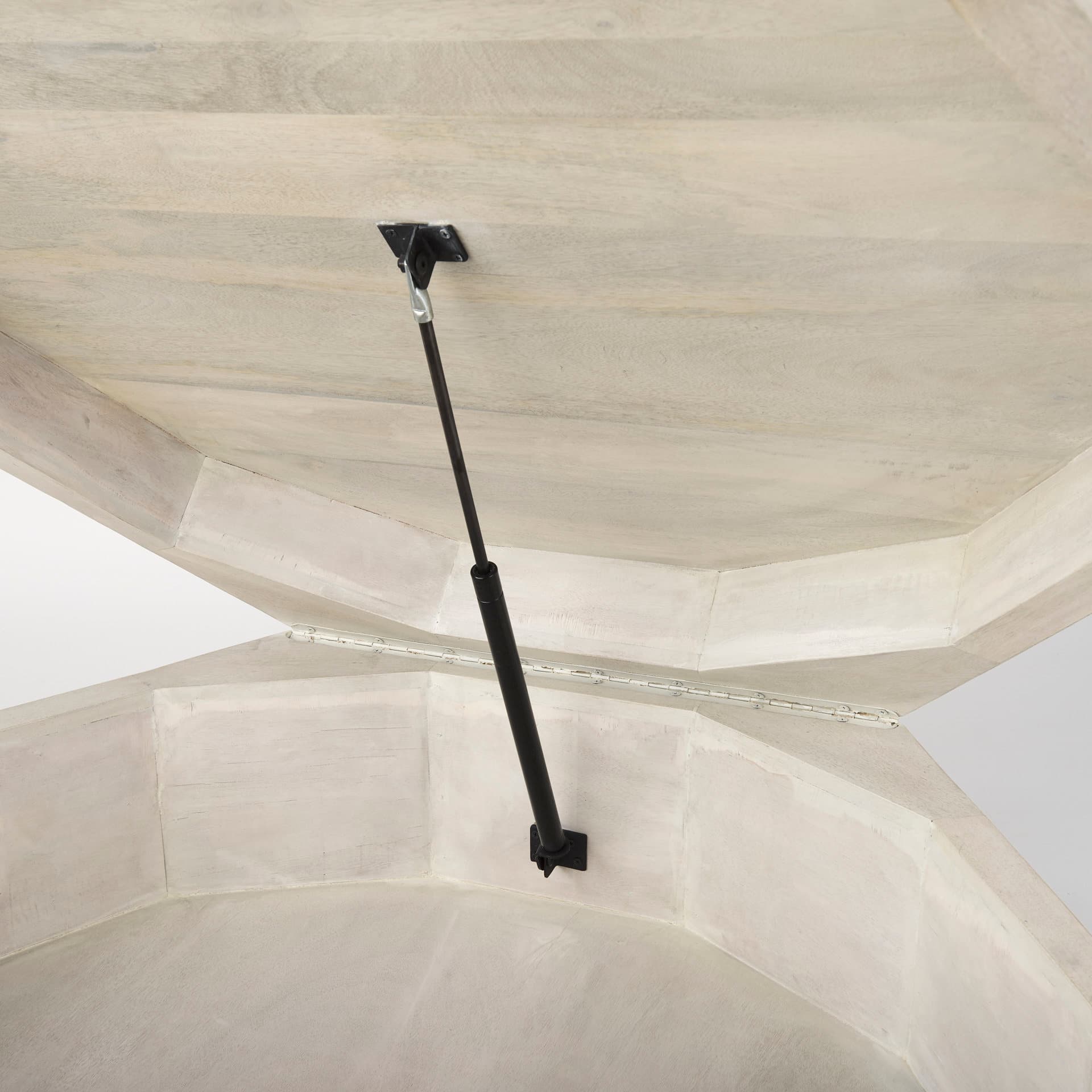 Arreto 48" Natural Solid Wood Hexagonal Storage Coffee Table — product photograph