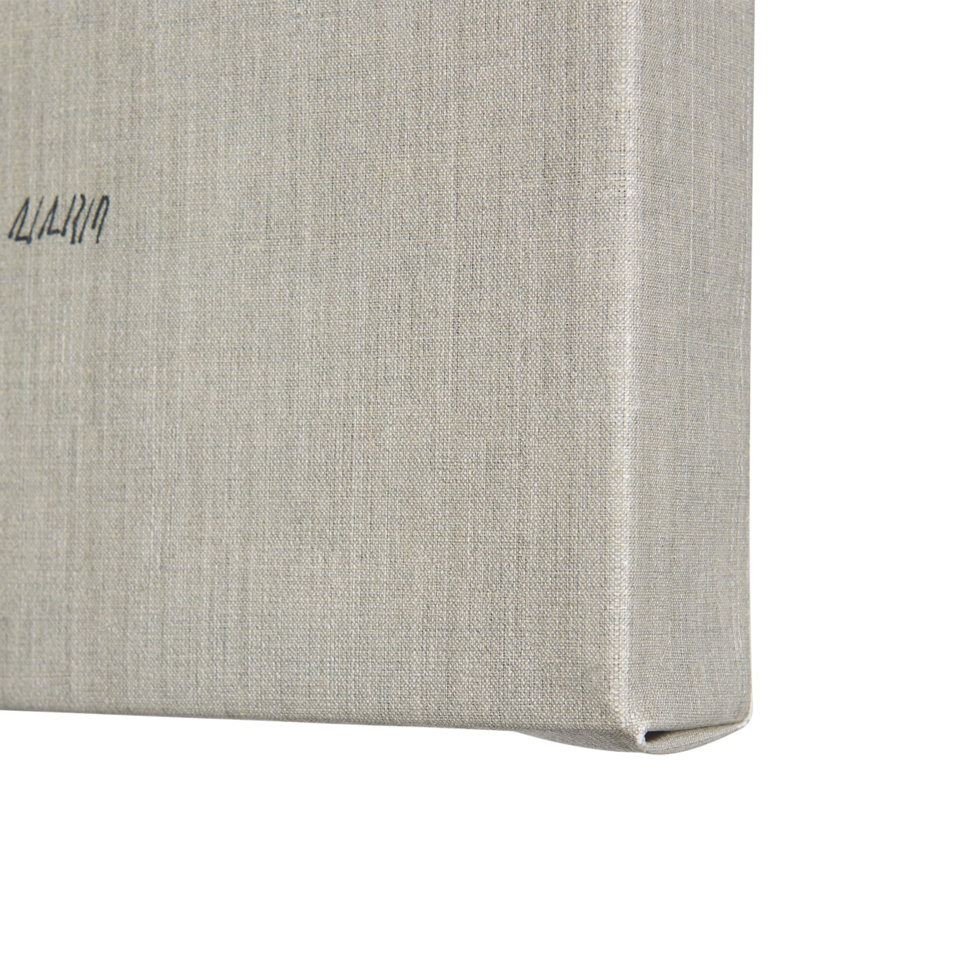 Moth III by Mercana Studio a Hand Embellished Textured Canvas — product photograph
