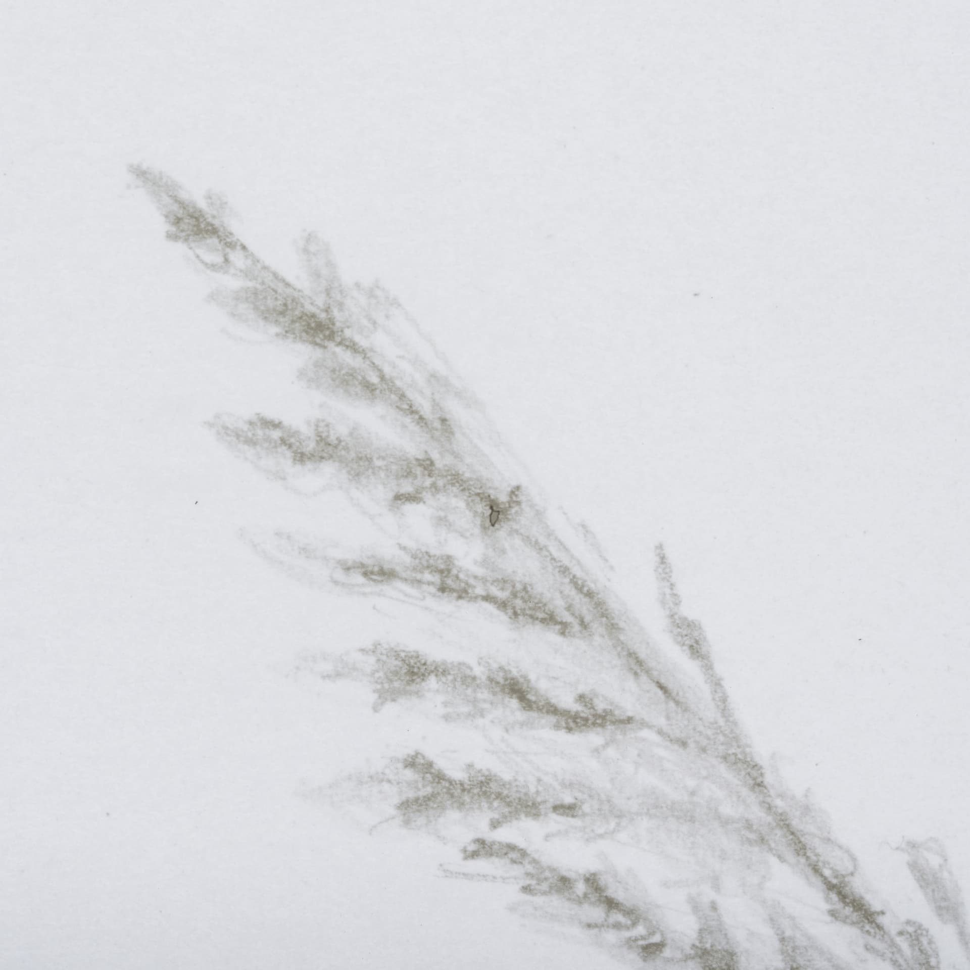 Growing Along The River II by Mercana Studio a Framed Art Print Matted under Glass — product photograph