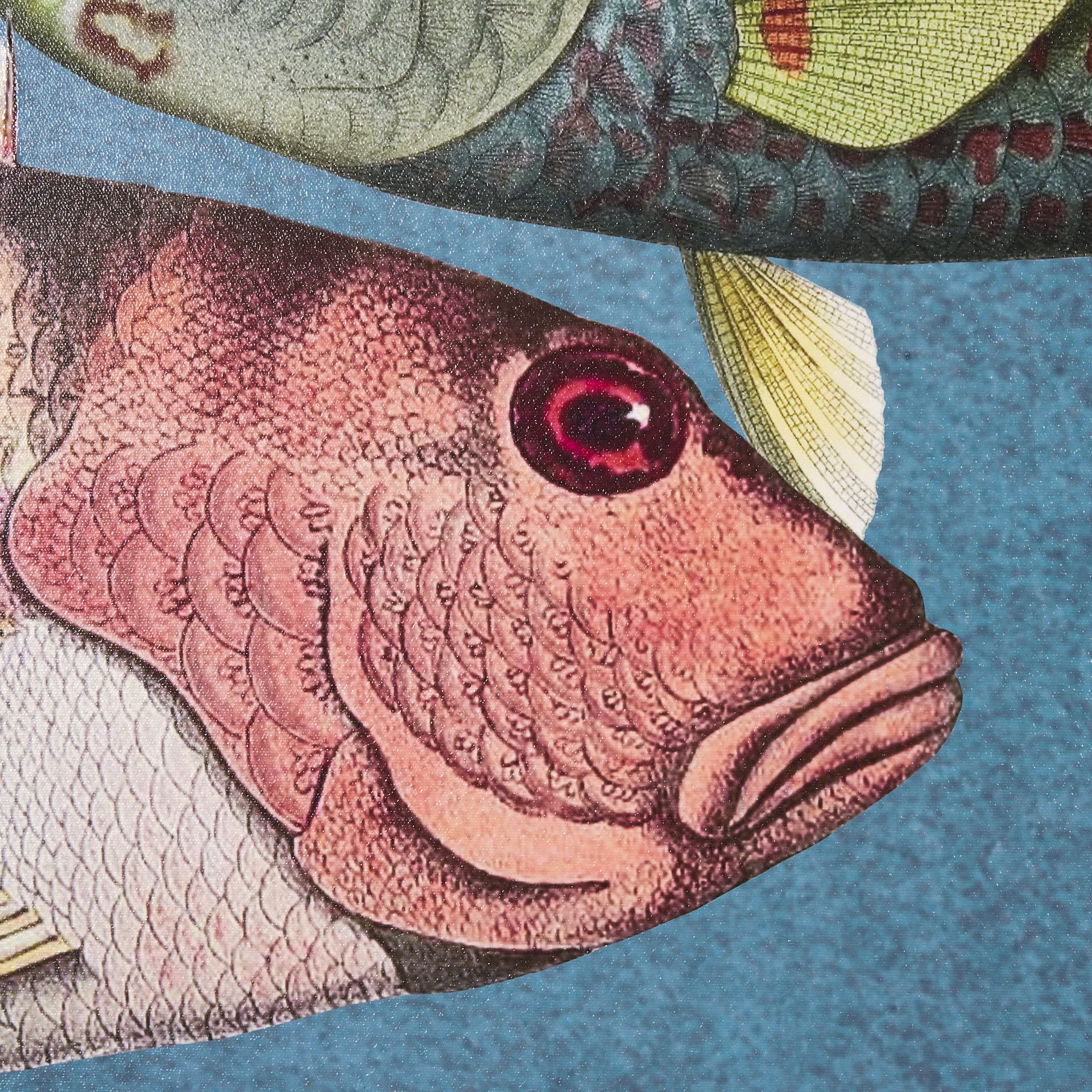 Vadum Piscis by Mercana Studio a Hand Embelished Textured Framed Art Print — product photograph