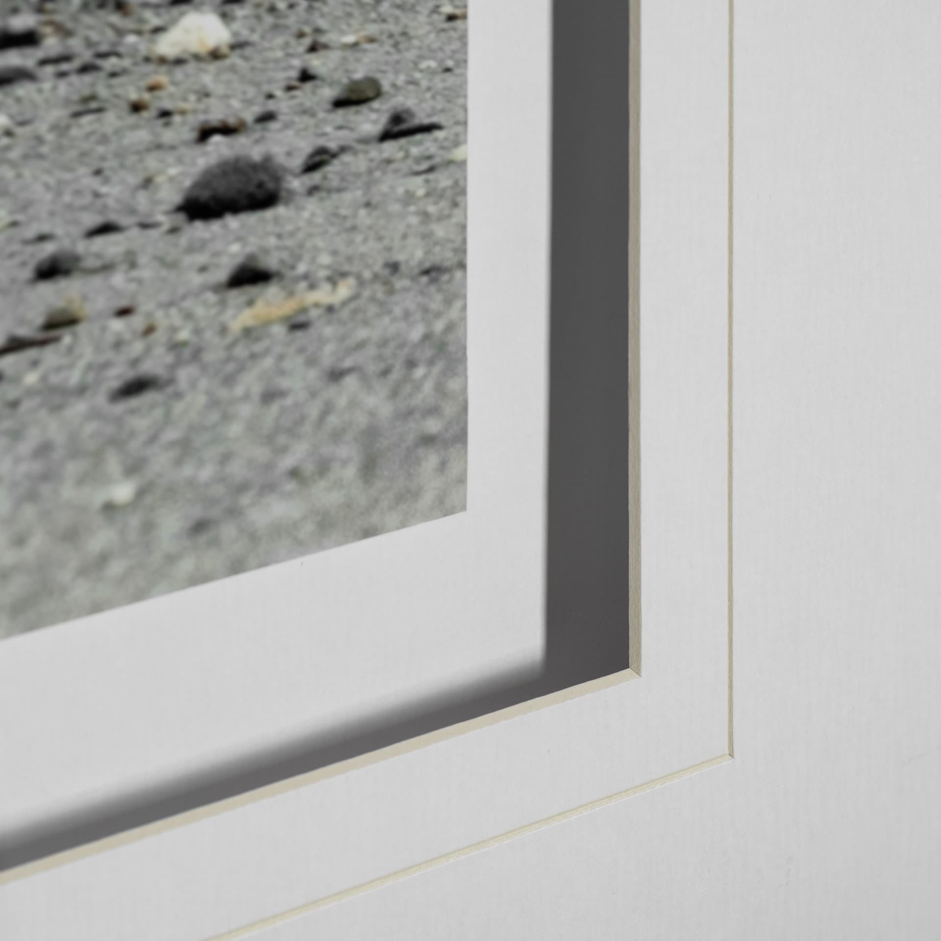Curious Cub by Wink Gaines a Hand Embellished Textured Framed Art Photograph Matted under Glass — product photograph