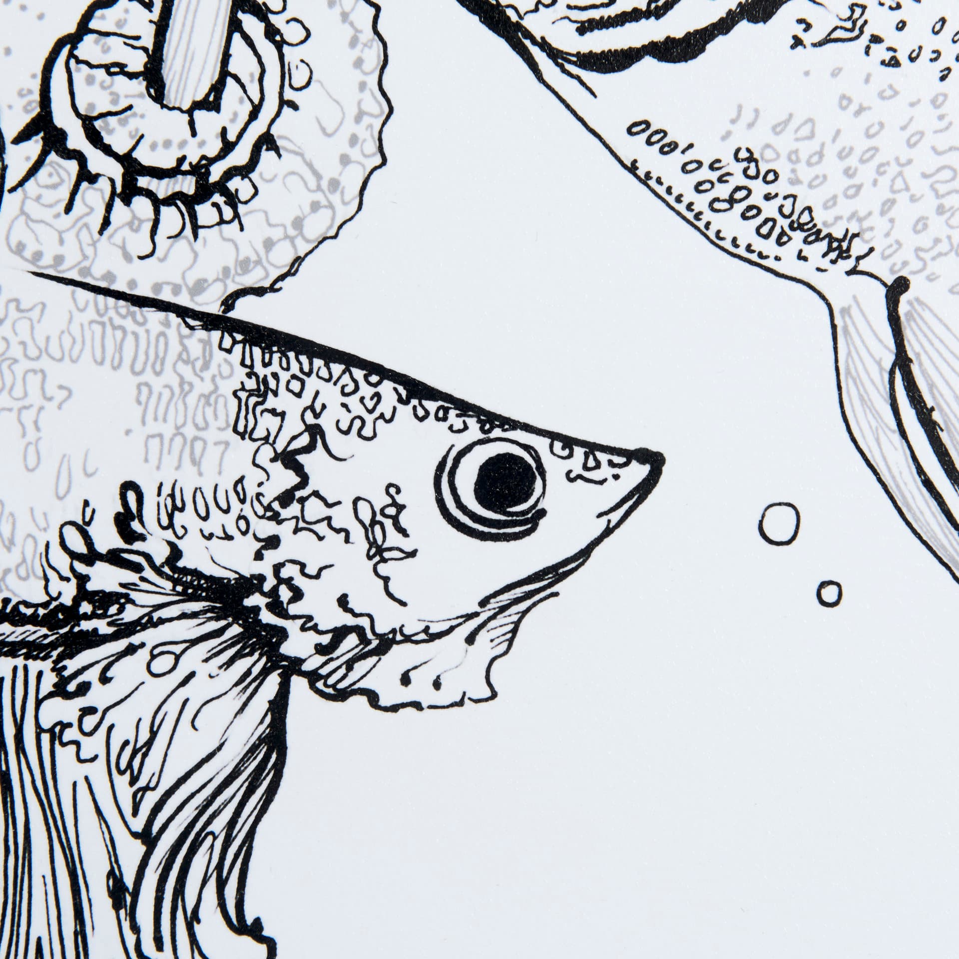 Fish White by Mercana Studio a Hand Embellished Textured Framed Art Print Matted under Glass — product photograph
