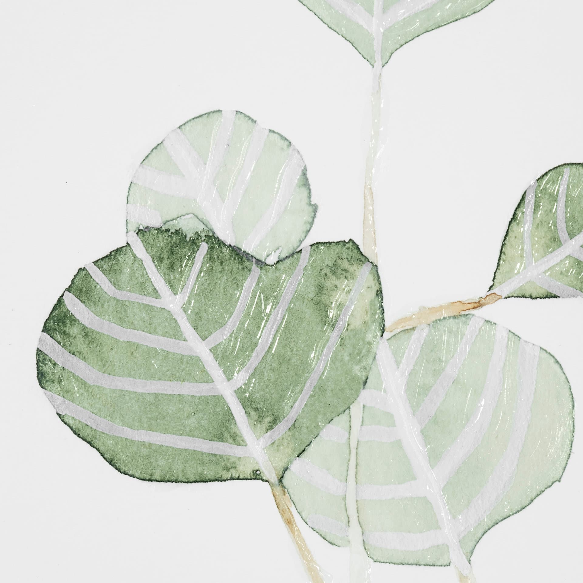 Soft Eucalyptus Branch II by Emma Scarvey Hand Embellished Framed Art Print Matted under Glass — product photograph