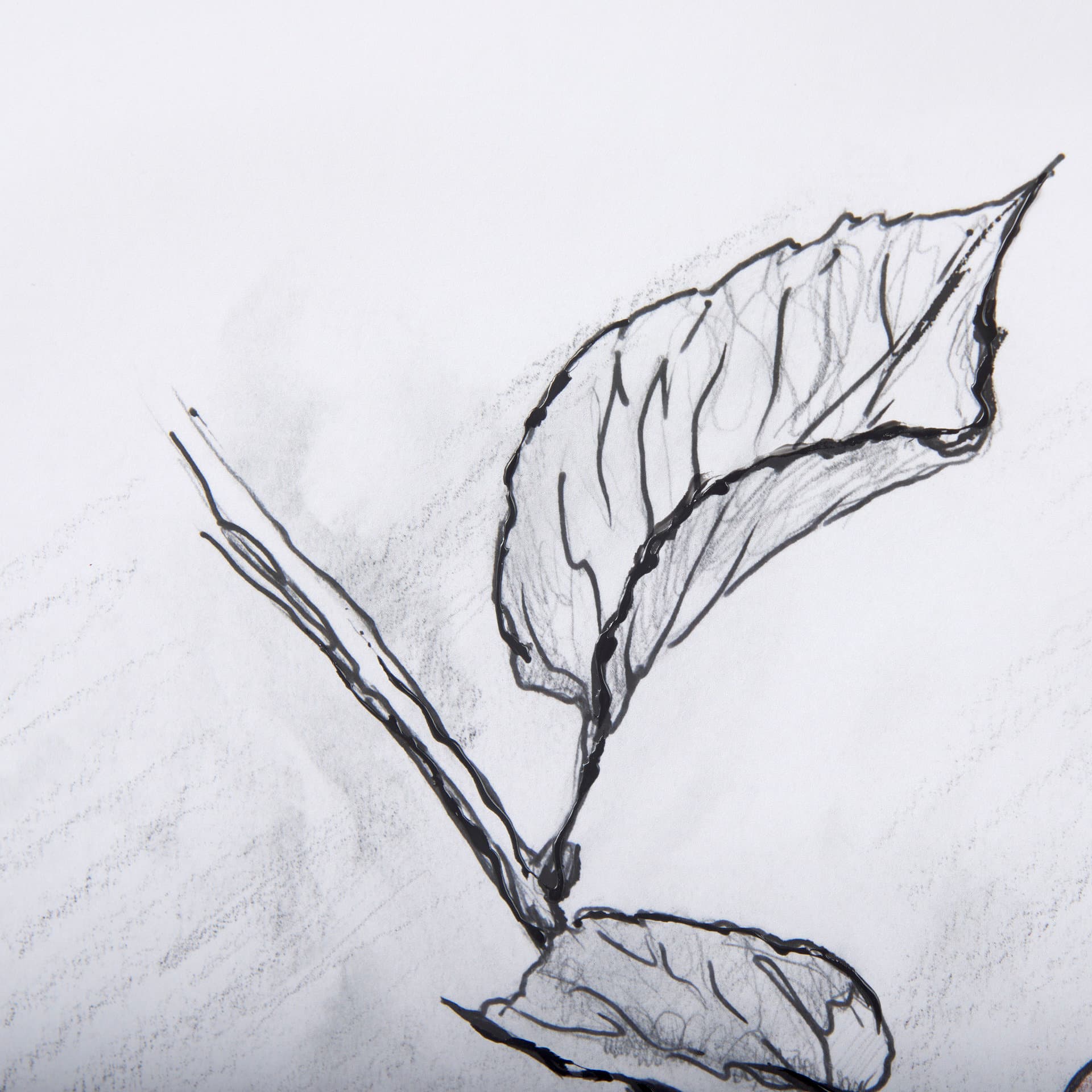 Saskatoonberry by Mercana Studio Hand Embellished Framed Art Print Matted under Glass — product photograph