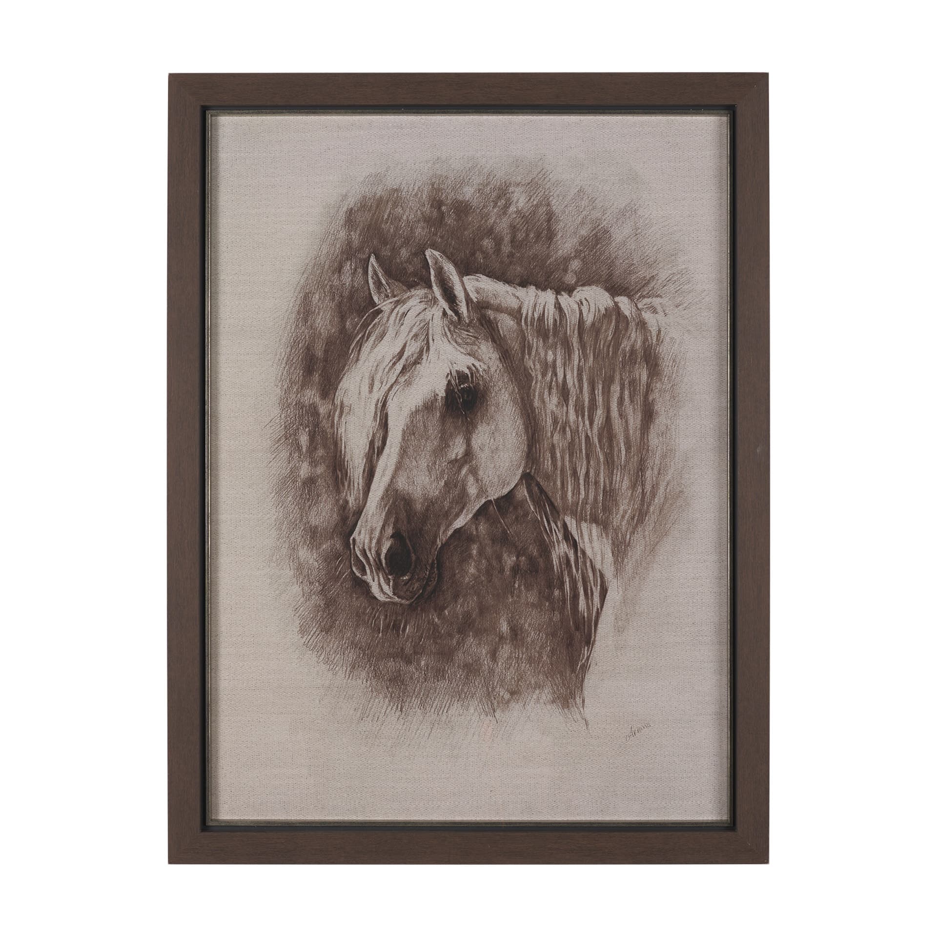 Portrait of a Thoroughbred I by Mercana Studio a Framed Art Print Matted under Glass — product photograph