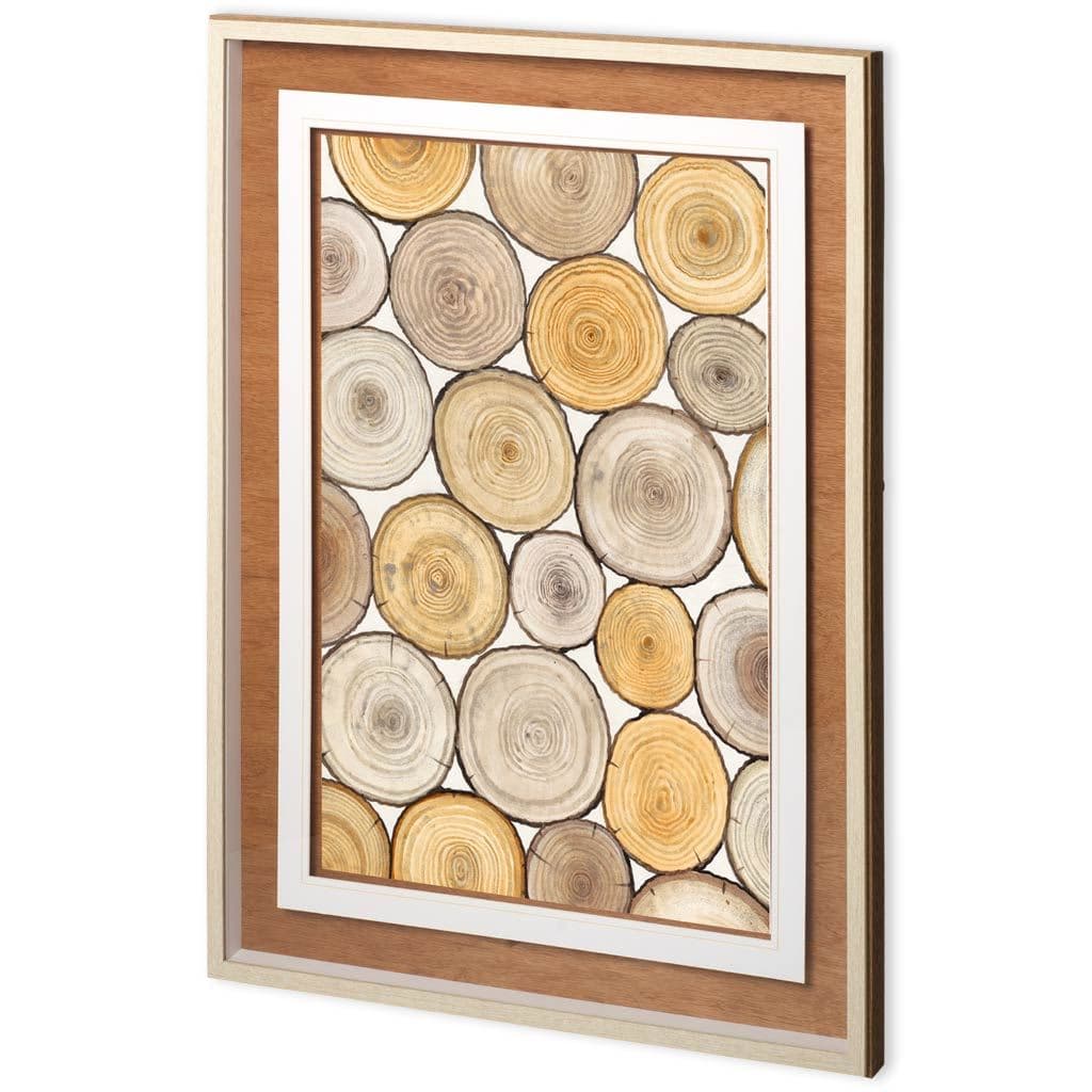 Tree Ring Study II by Mercana Studio a Framed Art Print Matted under Glass — product photograph