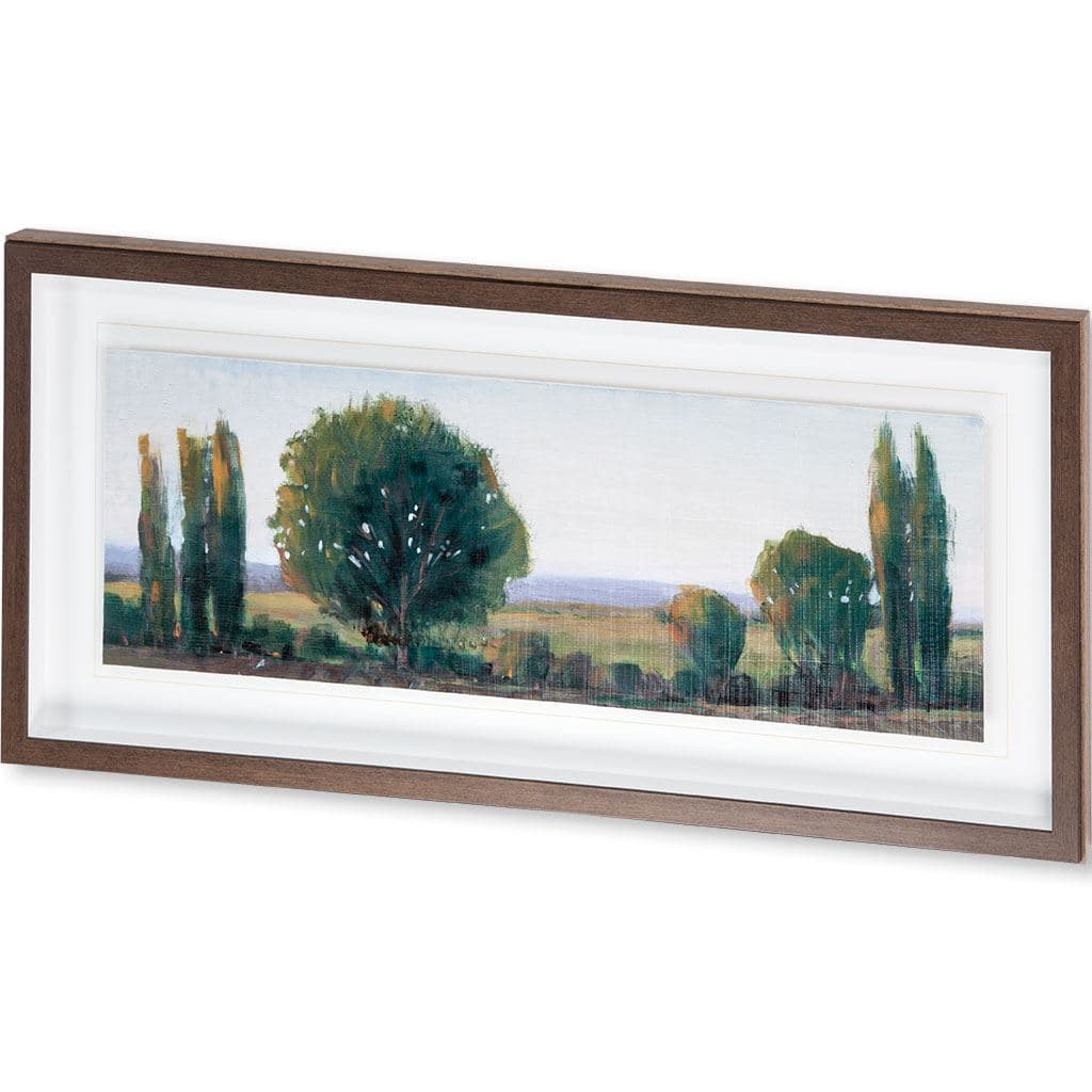Panoramic Treeline I by Tim OToole a Framed Art Print Matted under Glass — product photograph