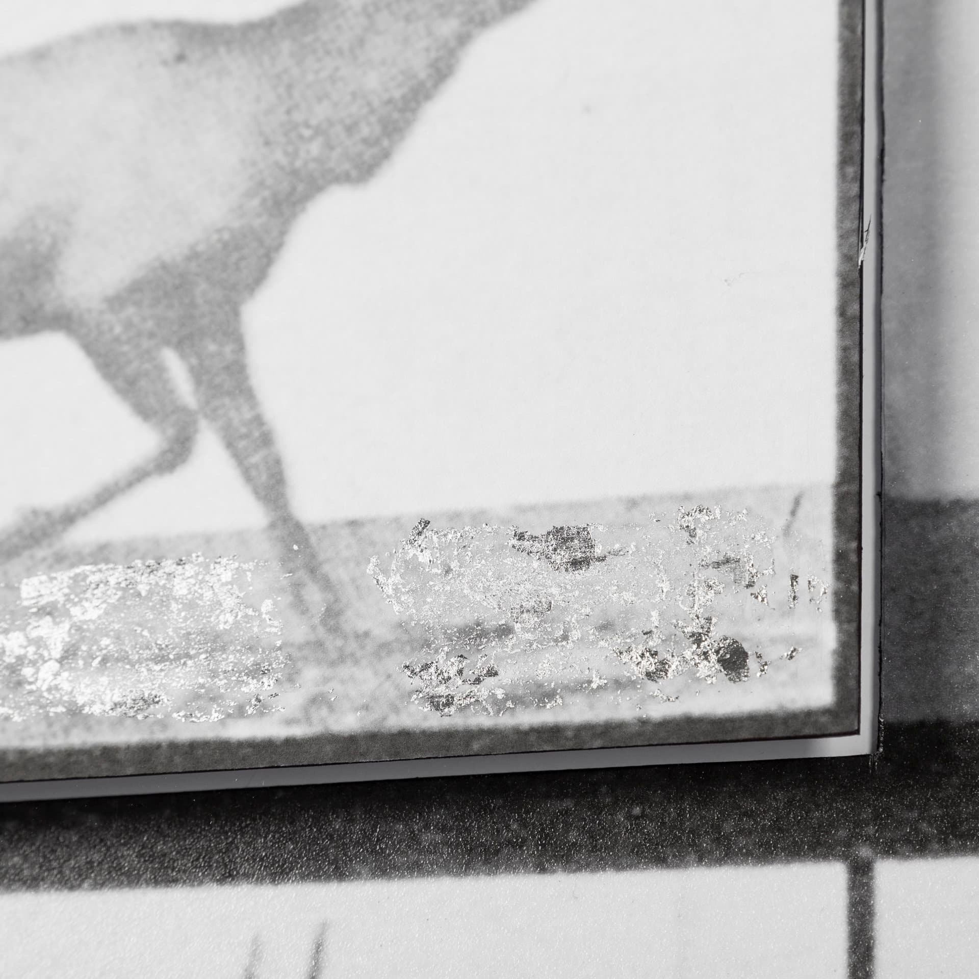 Elk Trotting by Eadweard Muybridge a Hand Embellished Textured Framed Art Print Matted under Glass — product photograph