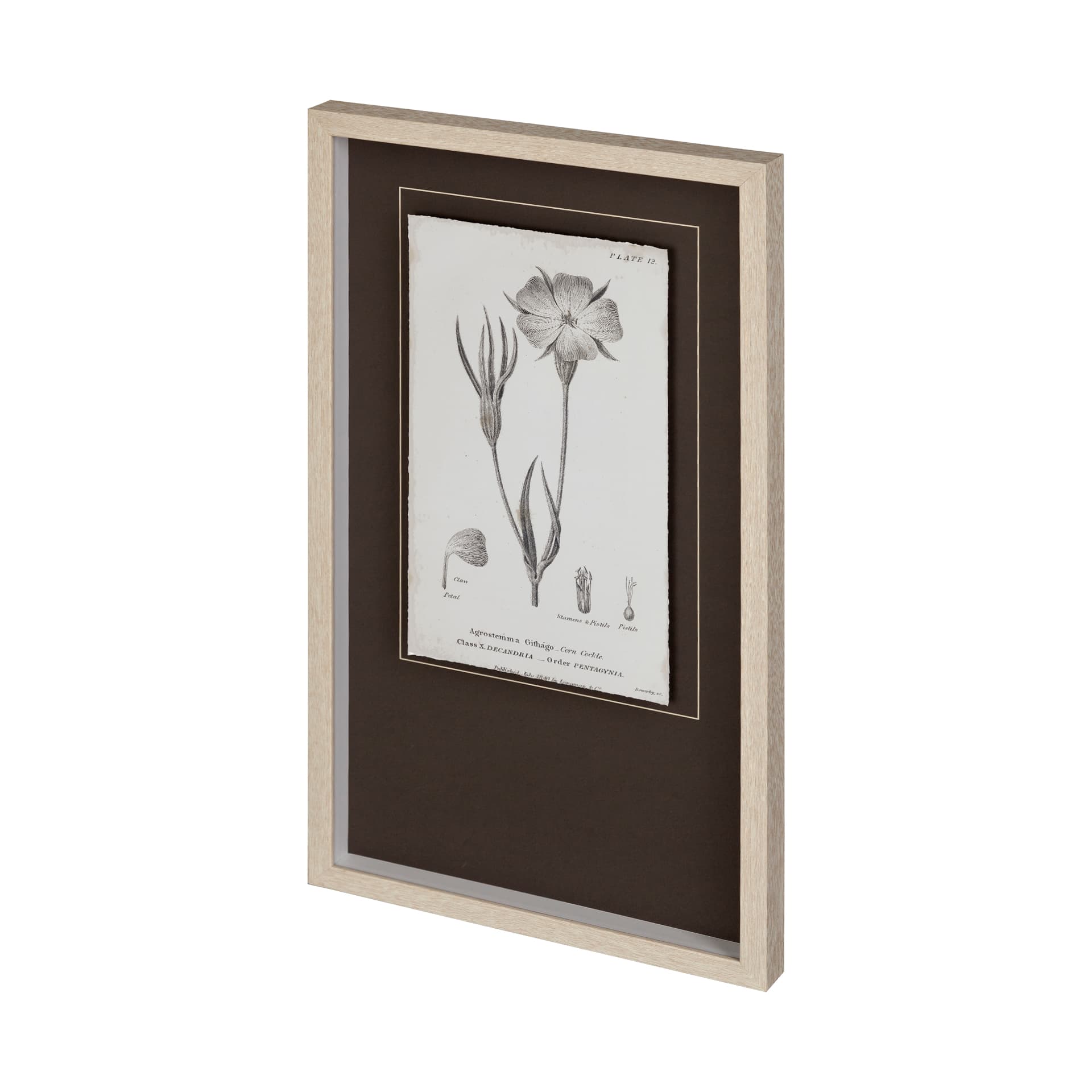 Conversations on Botany III by Mercana Studio Hand Embellished Framed Art Print Matted under Glass — product photograph
