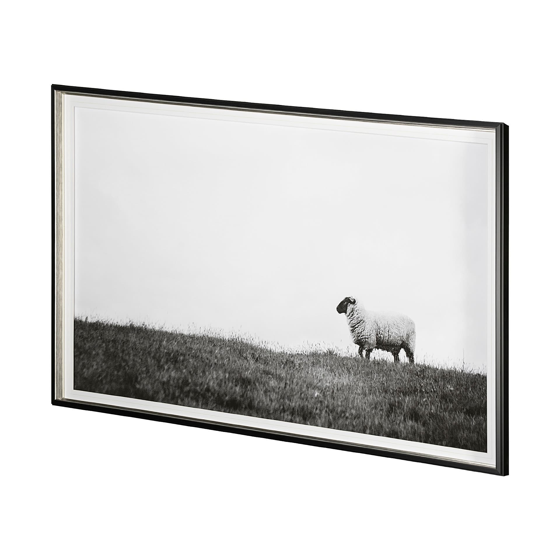 Islay Sheep II by Laura Marshall a Framed Photo Art Print Matted under Glass — product photograph
