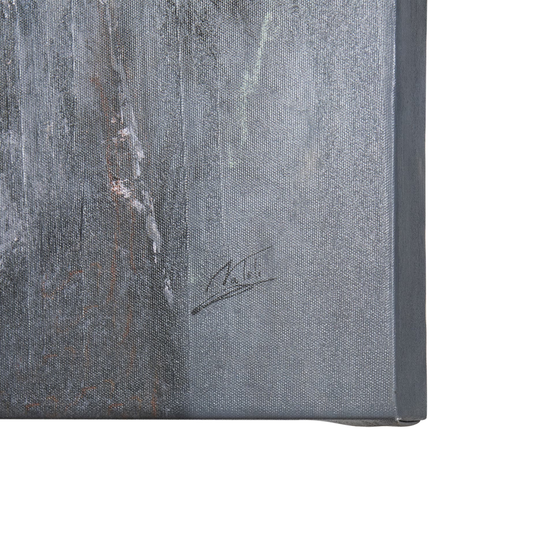 Animal Portrait IV by Mercana Studio a Hand Embellished Textured Canvas — product photograph