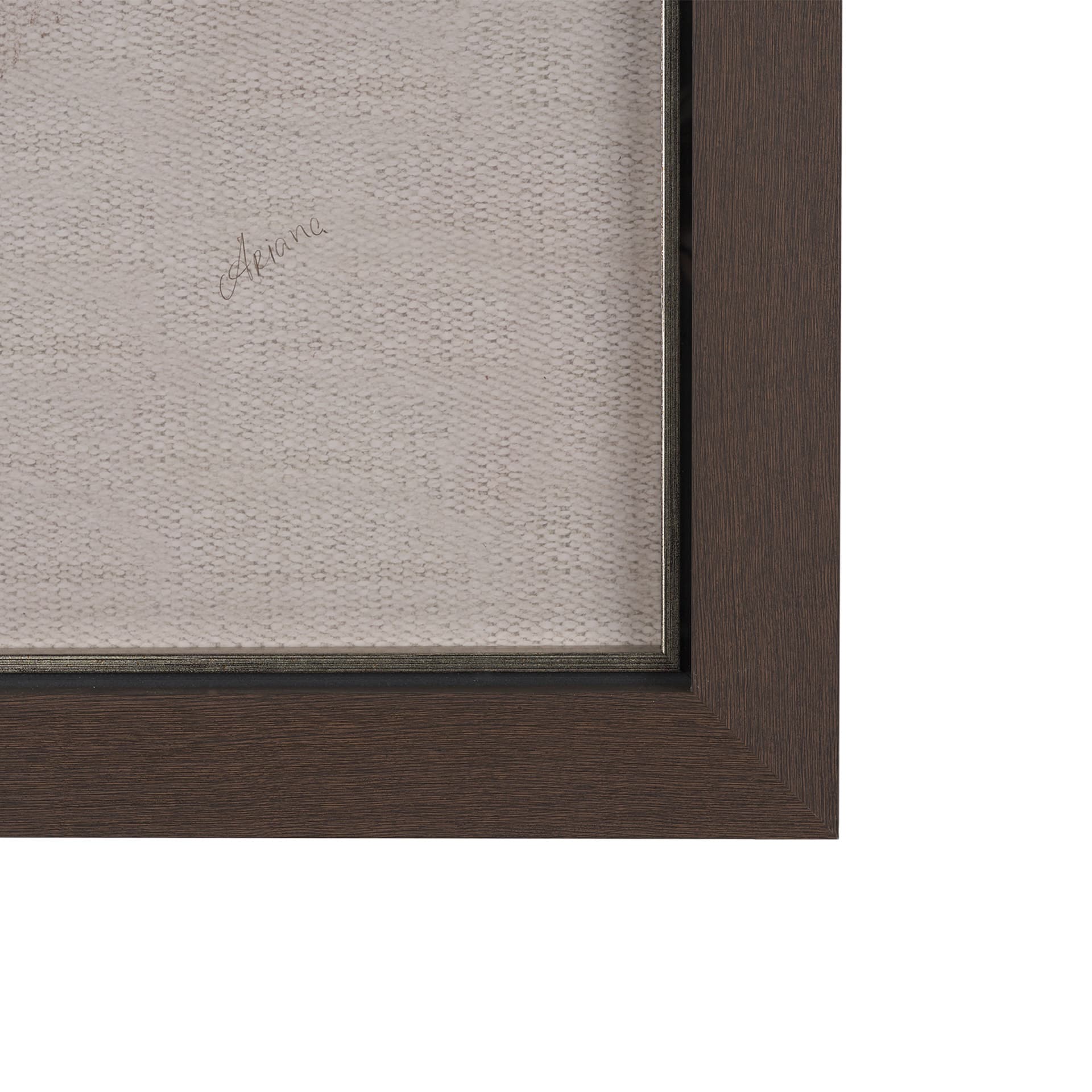 Portrait of a Thoroughbred I by Mercana Studio a Framed Art Print Matted under Glass — product photograph