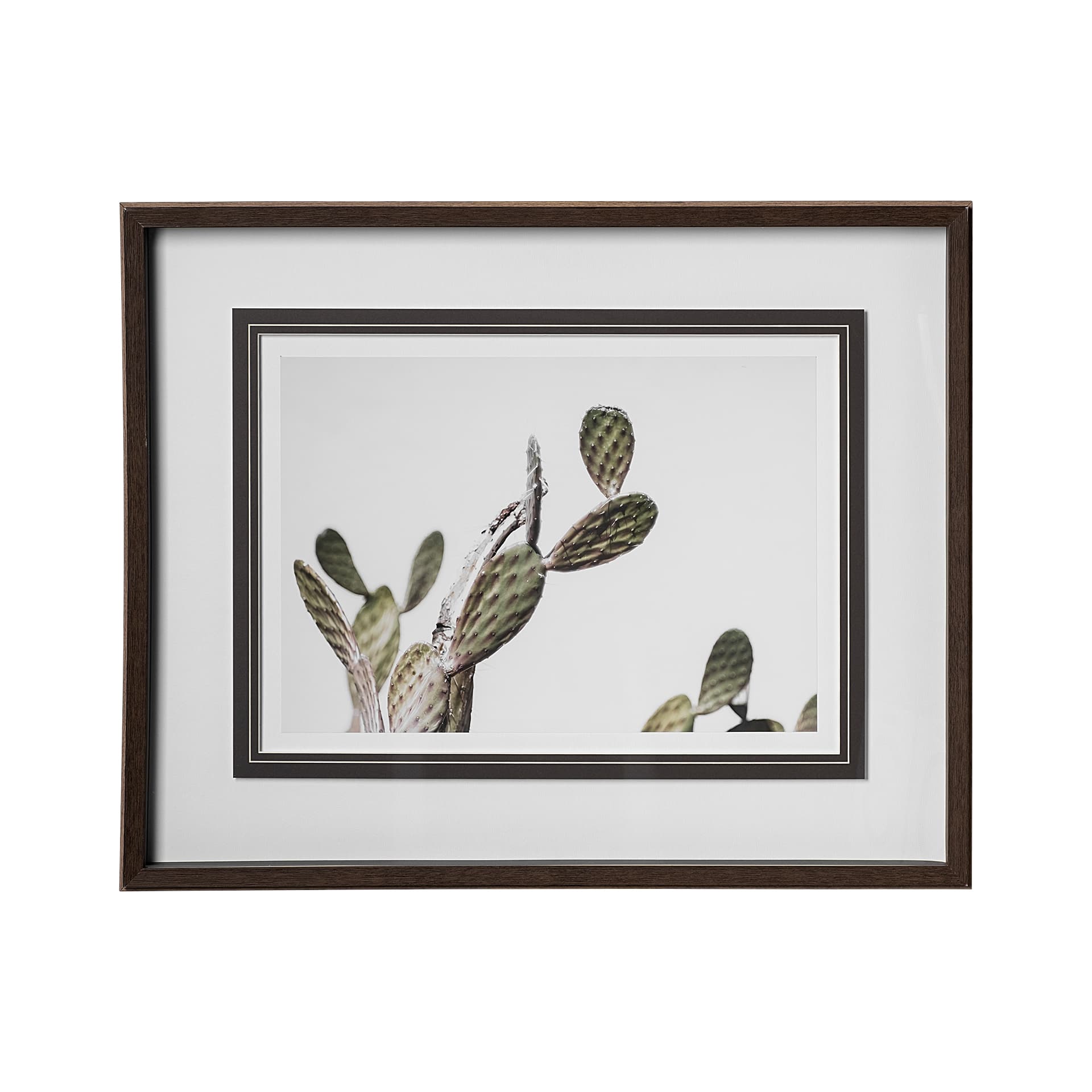 AZ Botanical 37 by Dunker a Framed Art Print Matted under Glass — product photograph