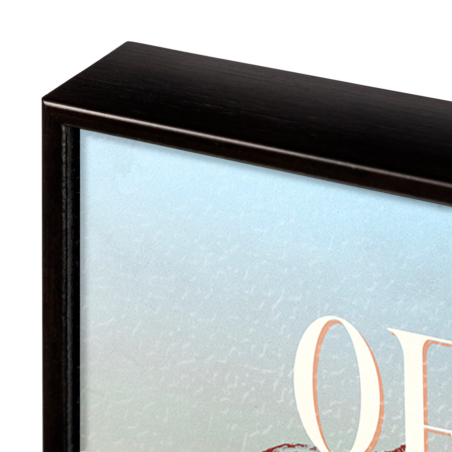 Oregon Go USA (SM) by Mercana Studio a Hand Embellished Decograph Framed Art Print — product photograph