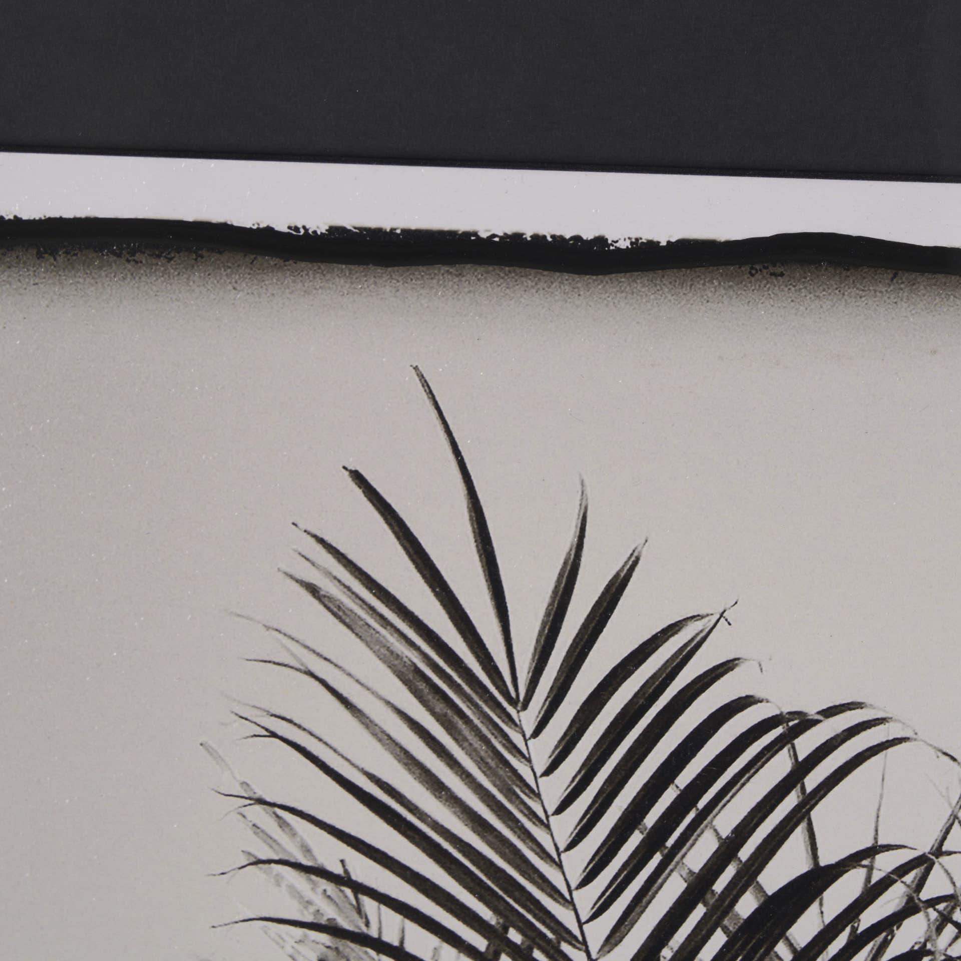 Palm Tree Sepia II by Debra Van Swearingen a Hand Embellished Framed Photo Art Print Matted under G — product photograph