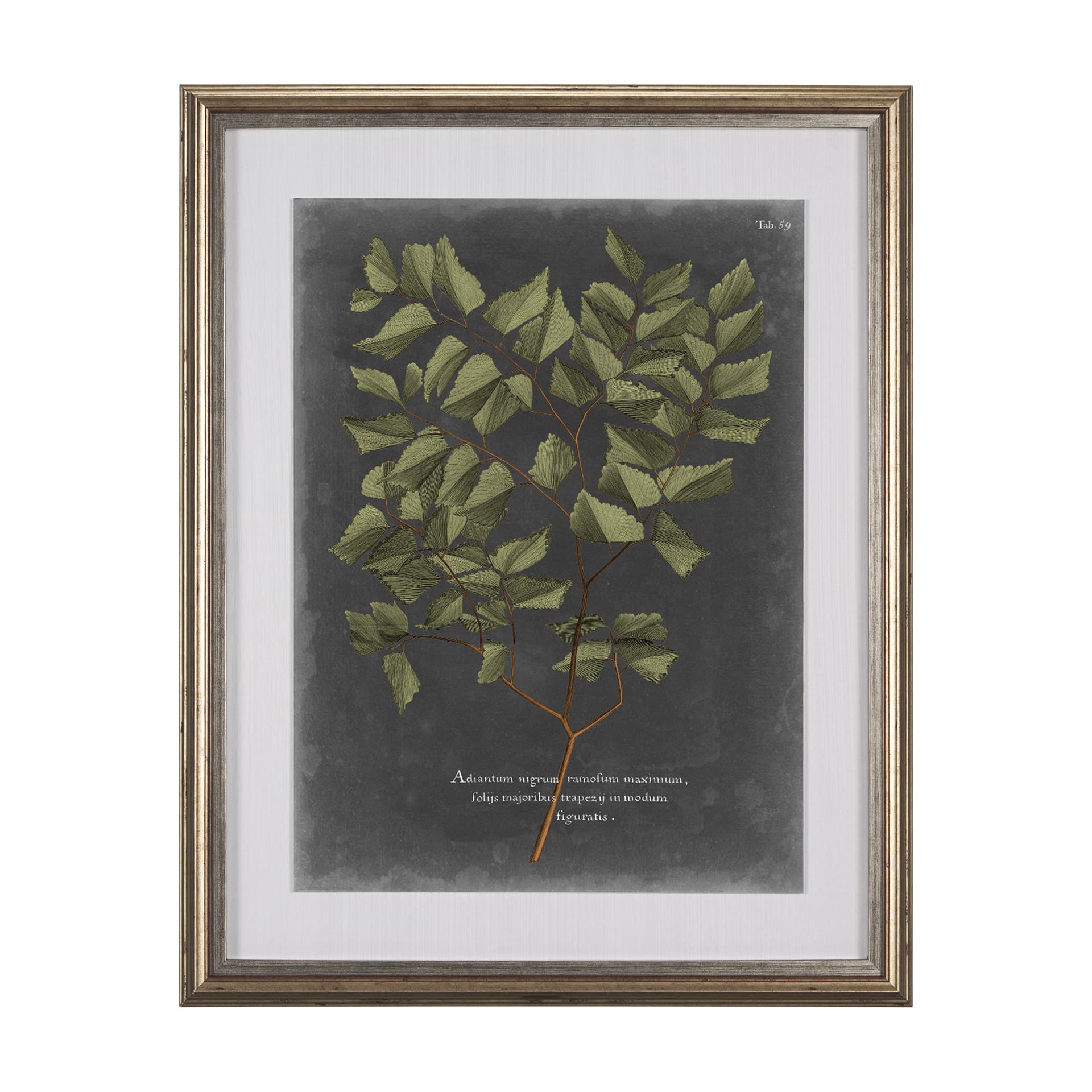 Foliage Dramatique V by Vision Studio Hand Embellished Textured Framed Art Print Matted under Glass — product photograph