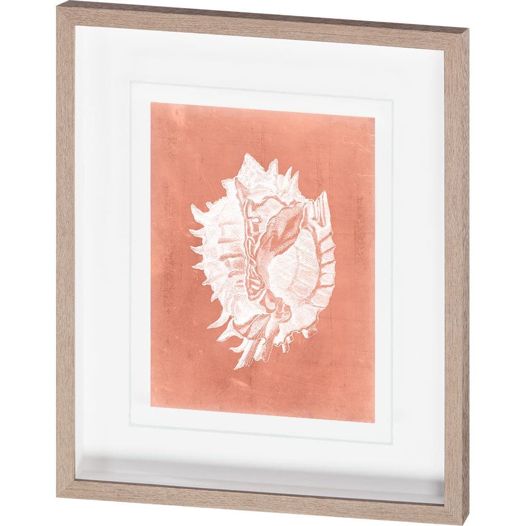 Sealife on Coral VI by Vision Studio a Hand Embellished Textured Framed Art Print Matted under Glass — product photograph