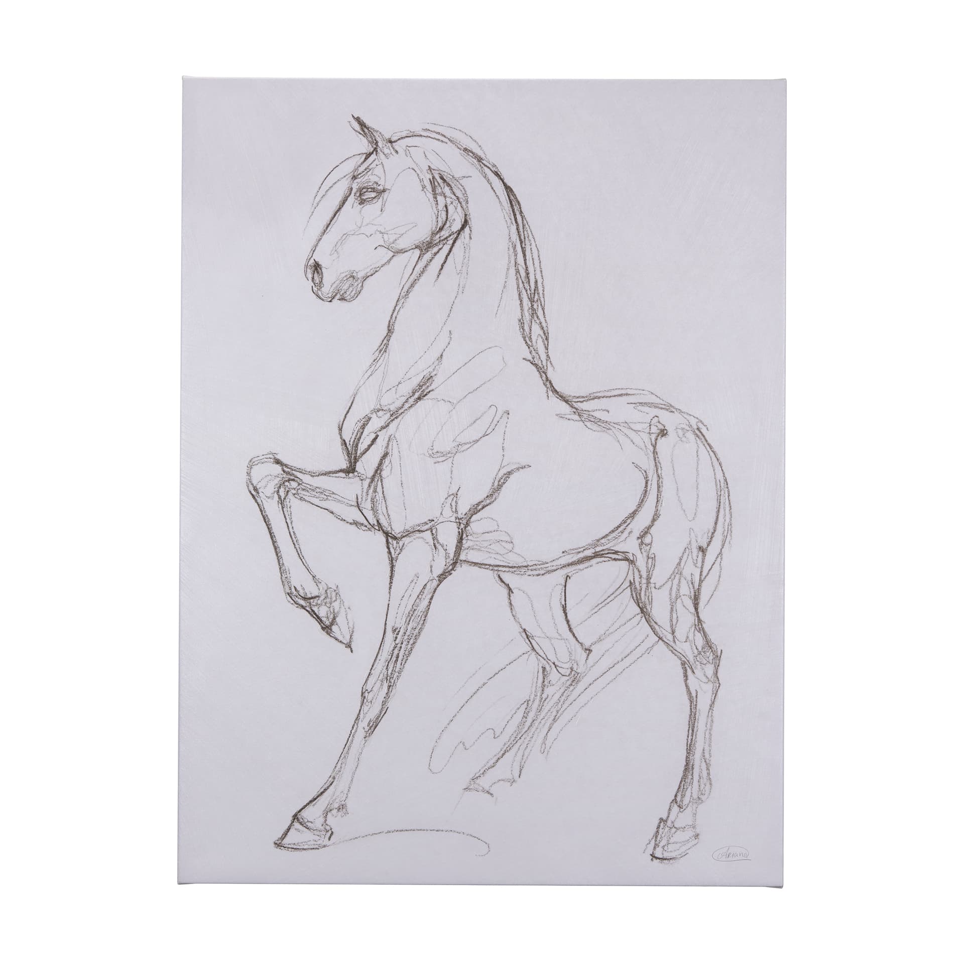 Horse II by Mercana Studio a Hand Embellished Textured Canvas — product photograph