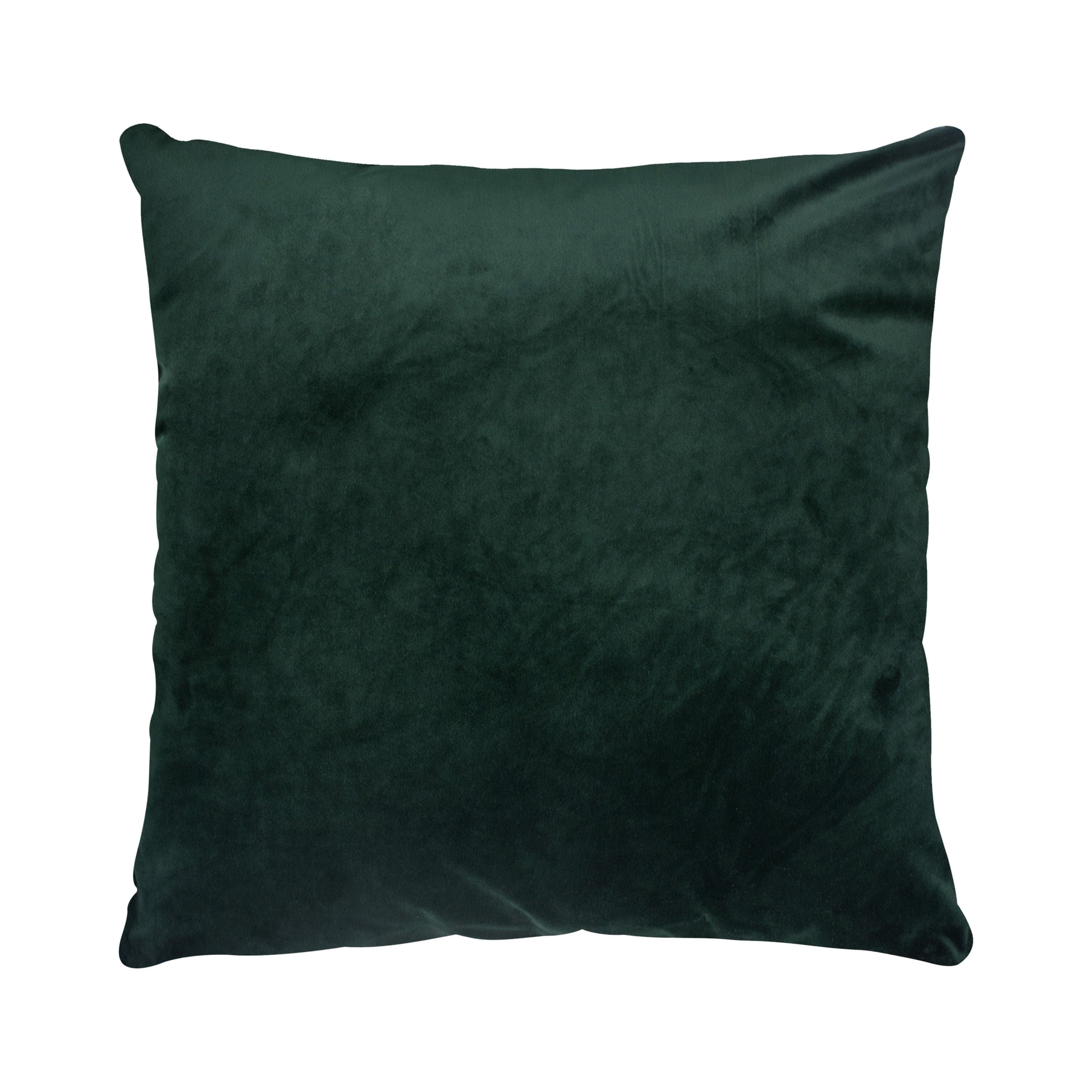 Olive — product photograph