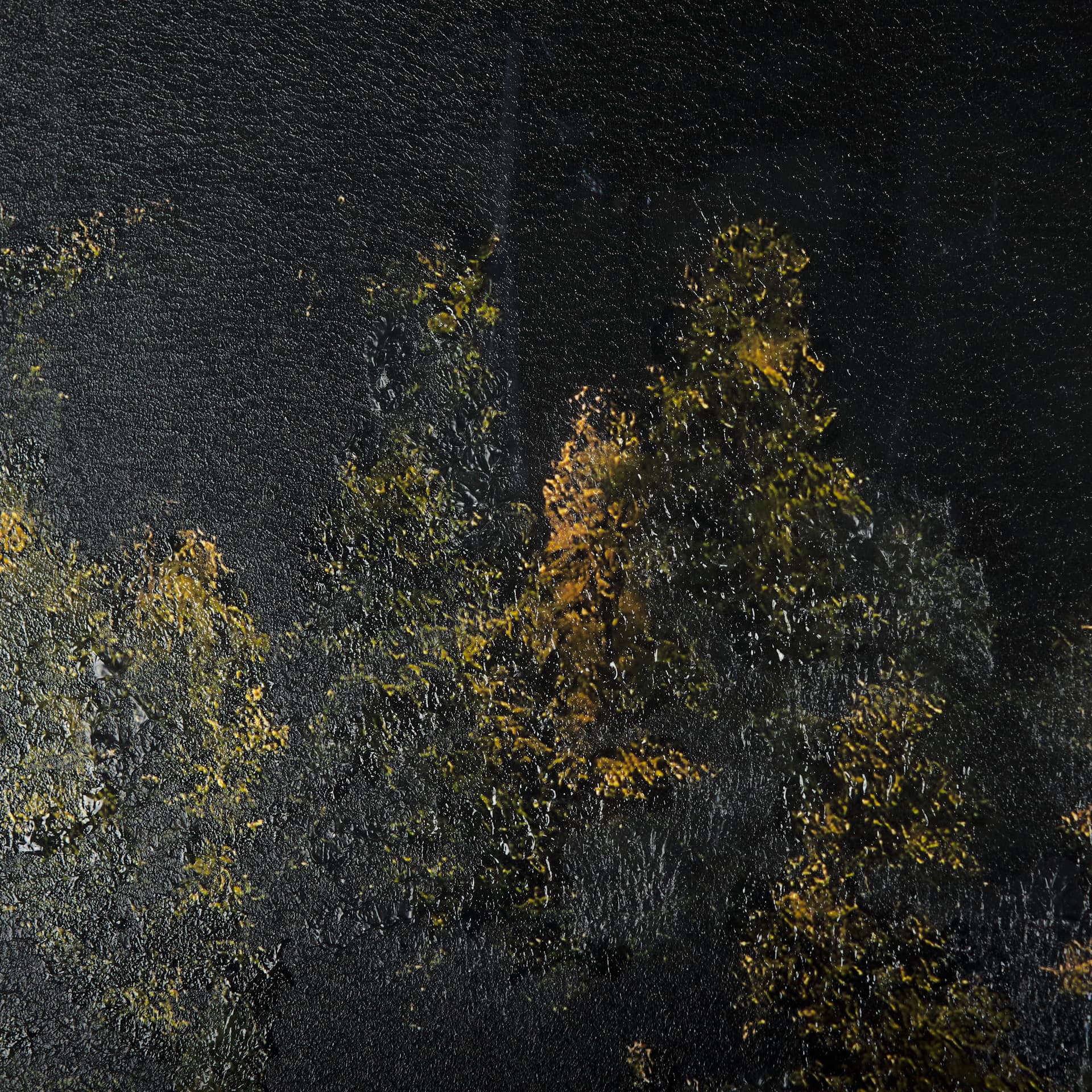 Water's Reflection-R by Chad Mackay a Hand Embellished Textured Framed Art Print Matted under Glass — product photograph