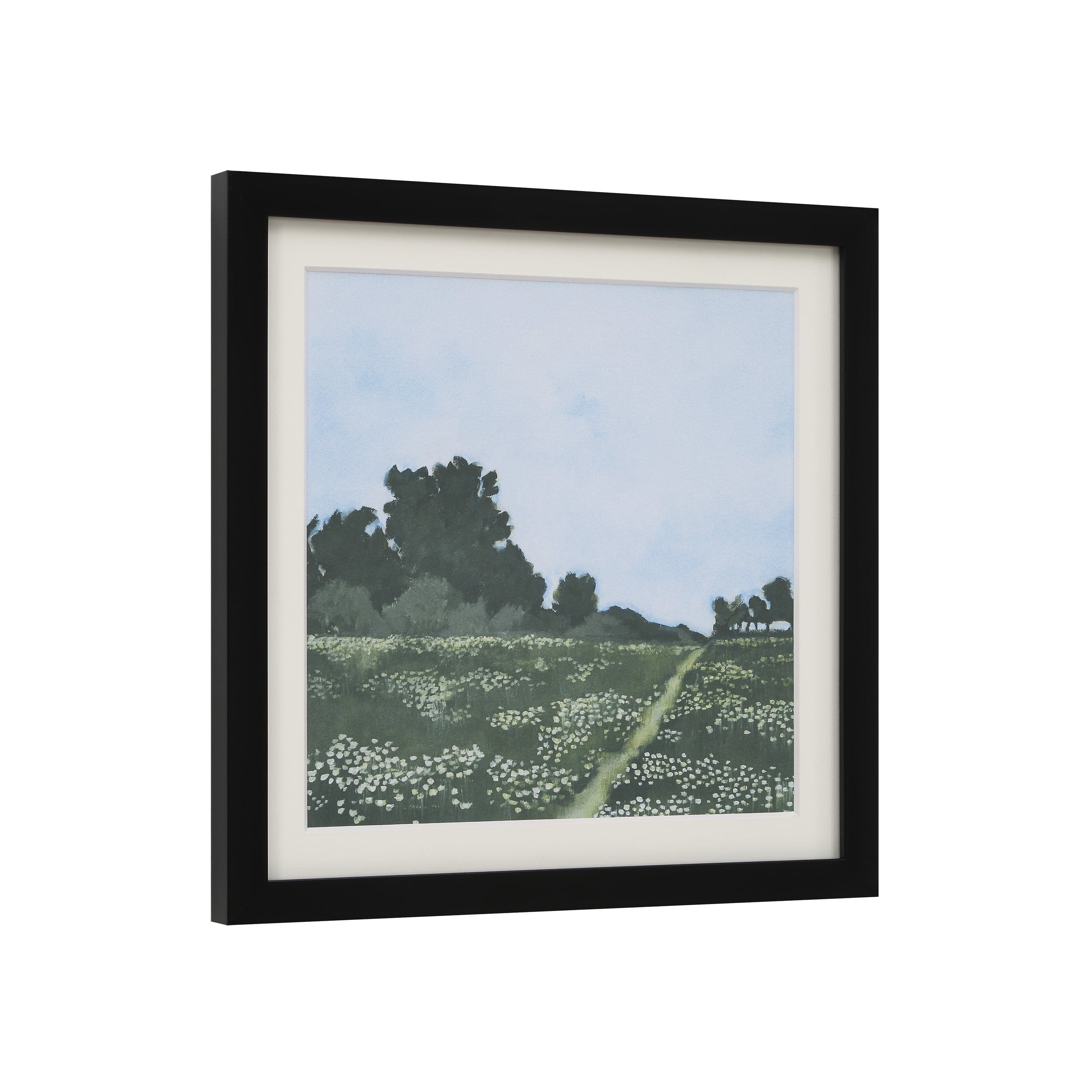 Olmo — product photograph
