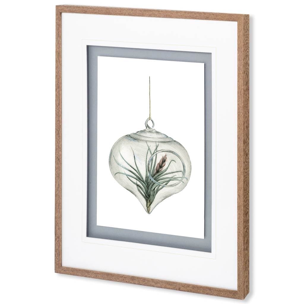 Air Plant 4 by Harvey, Brenna a Framed Art Print Matted under Glass — product photograph