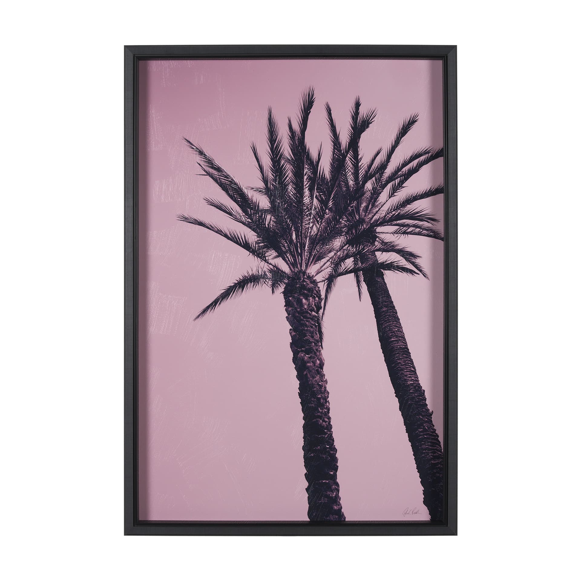 Pink Palms I by Deborah Revell a Hand Embellished Framed Photo Art Print — product photograph
