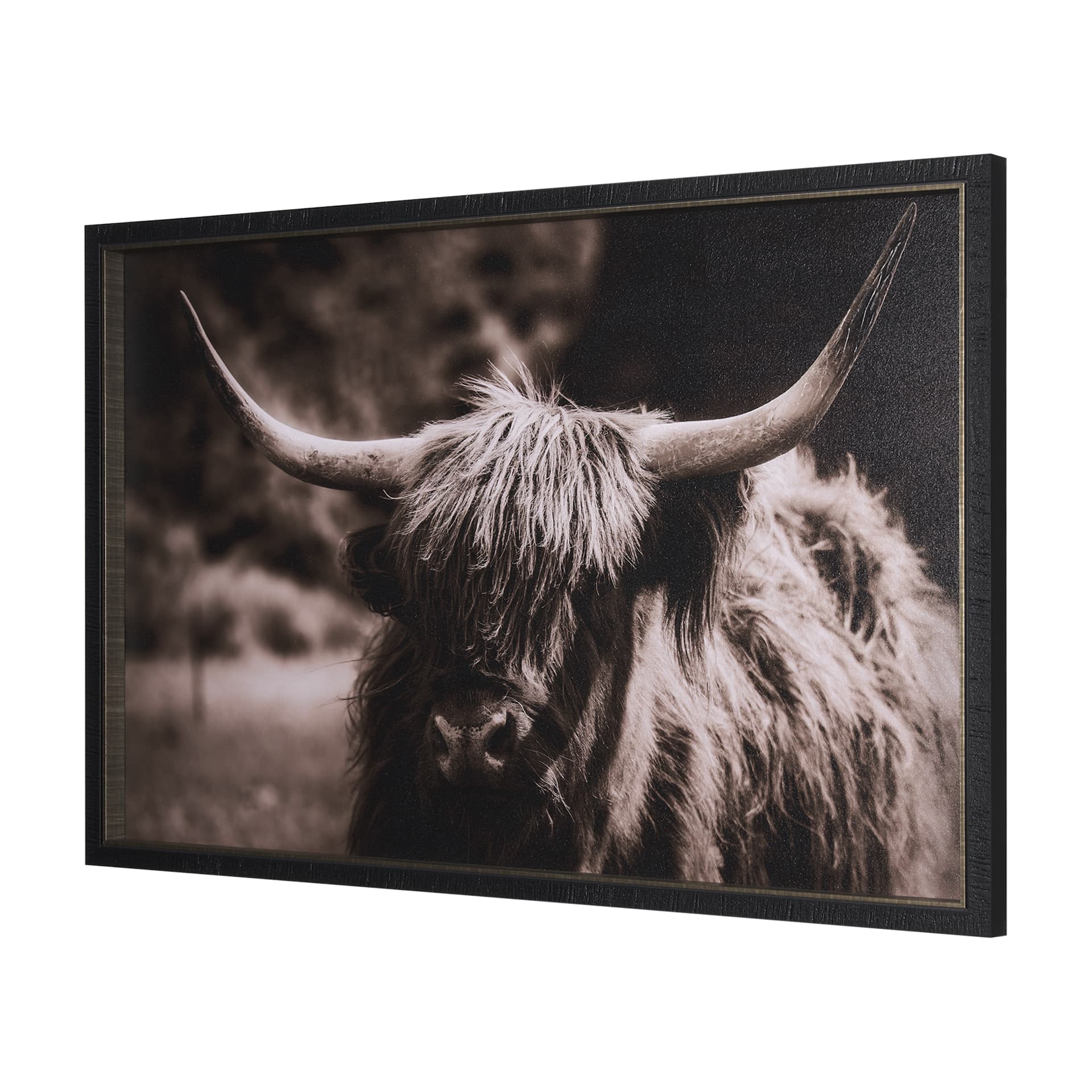 Highland Stare by Chad Mackay a Hand Embellished Textured Framed Photo Art Print — product photograph