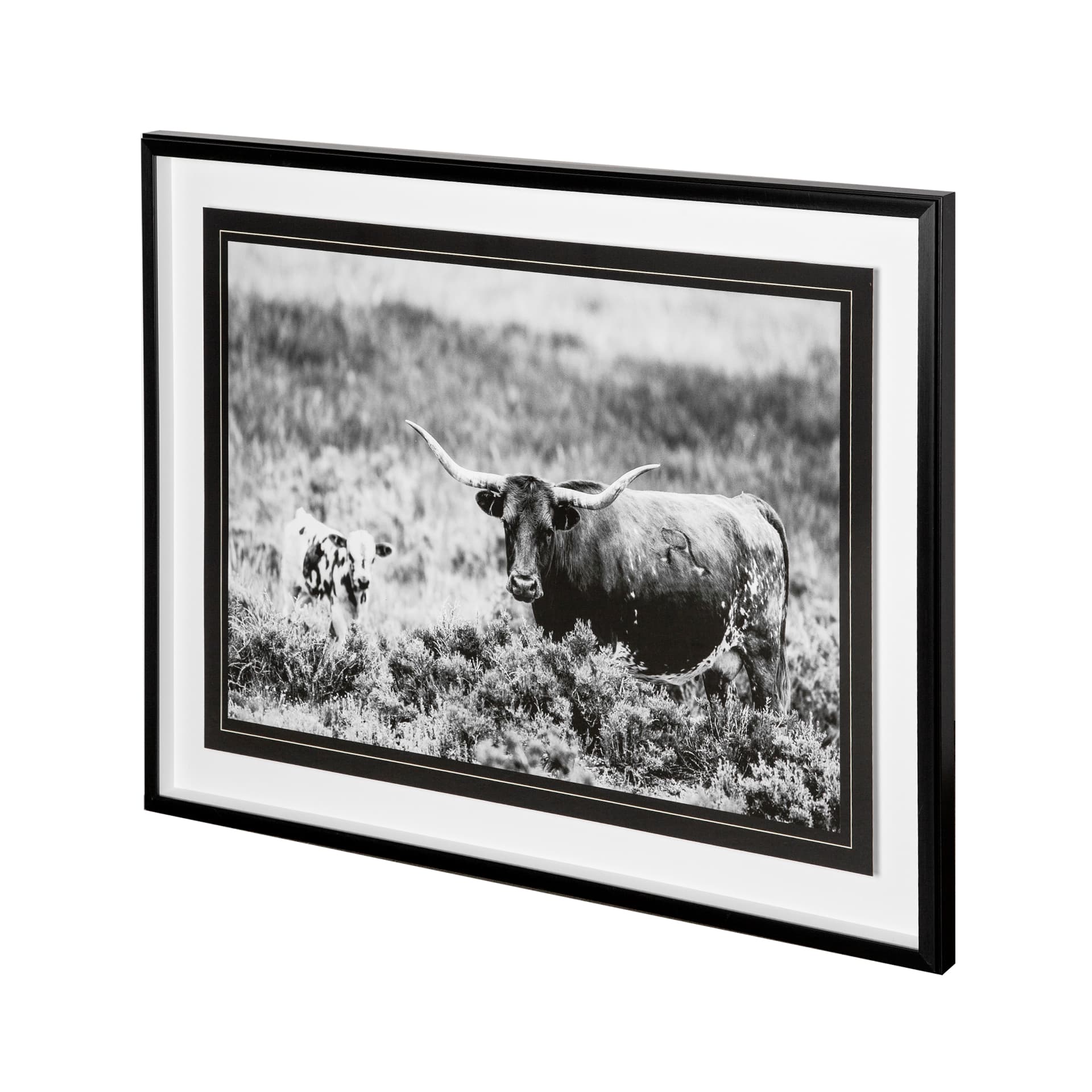 B&W Longhorn II by Tyler Stockton a Framed Photo Art Print Matted under Glass — product photograph