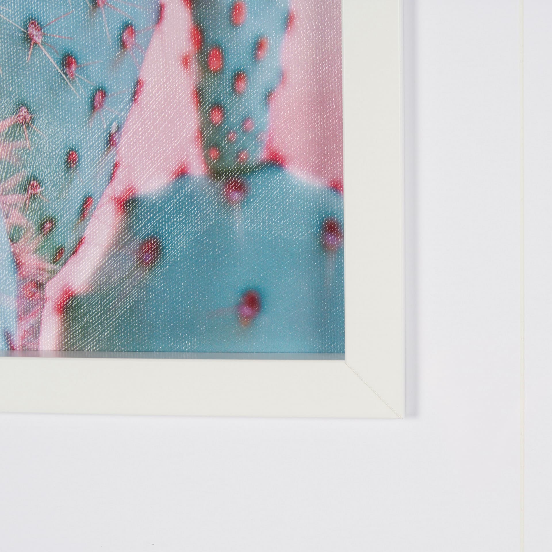 Petal Paradise - Blossom by Philippe Hugonnard a Hand Embellished Framed Photo Art Print Matted unde — product photograph