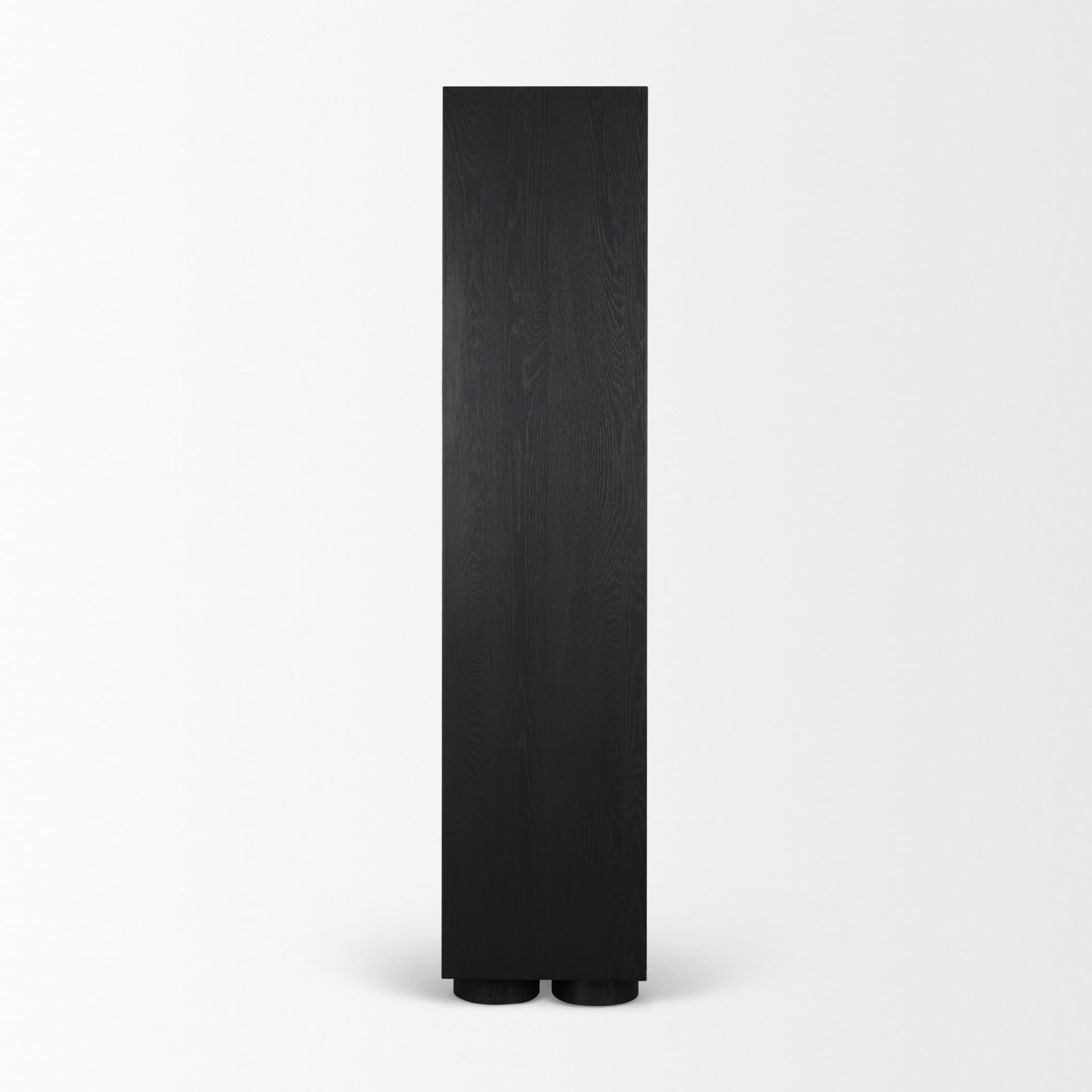 Tabor Natural Wood w/ Black Oak Frame Bookcase — product photograph