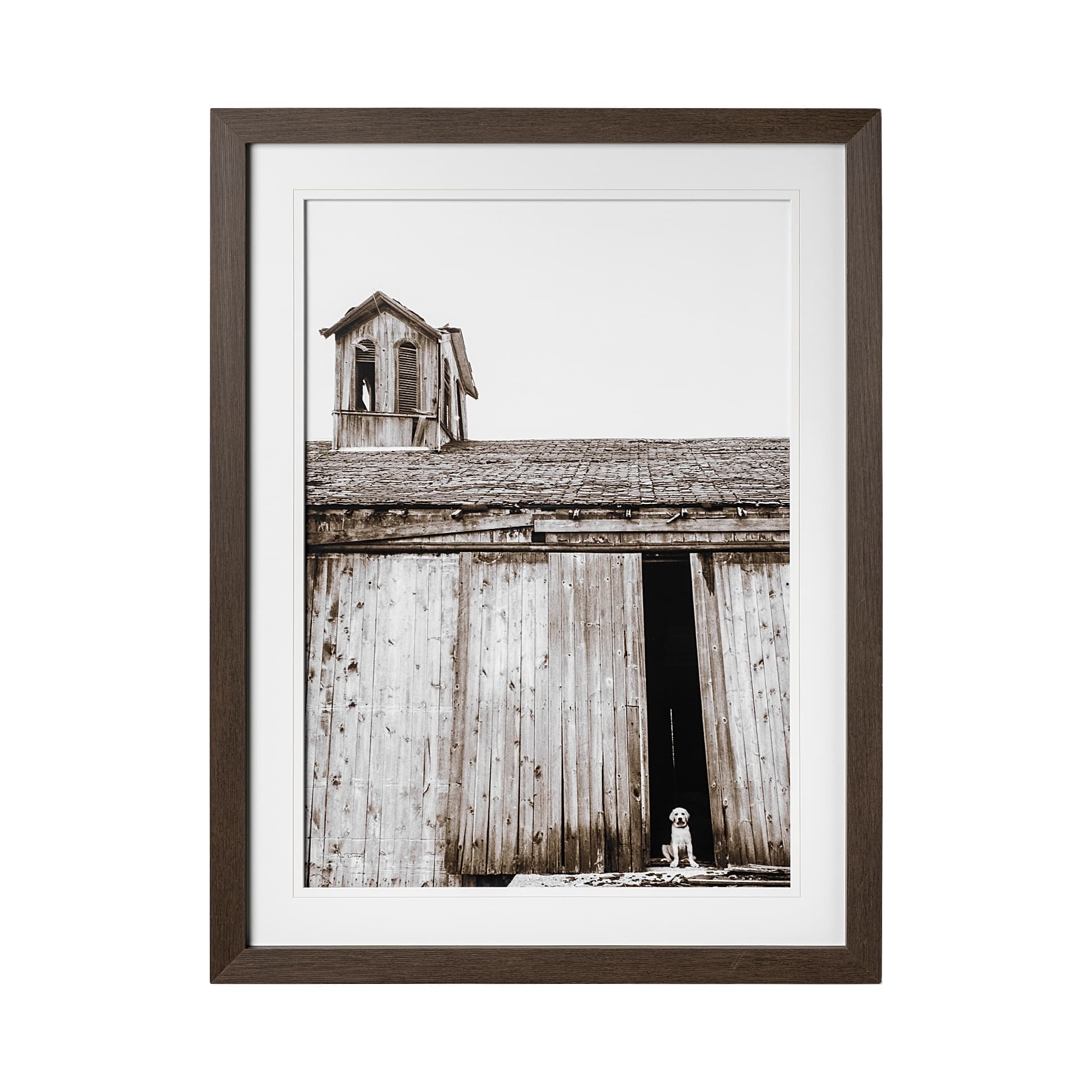 Barnyard Dog v2 by Mercana Studio a Framed Photo Art Print Matted under Glass — product photograph