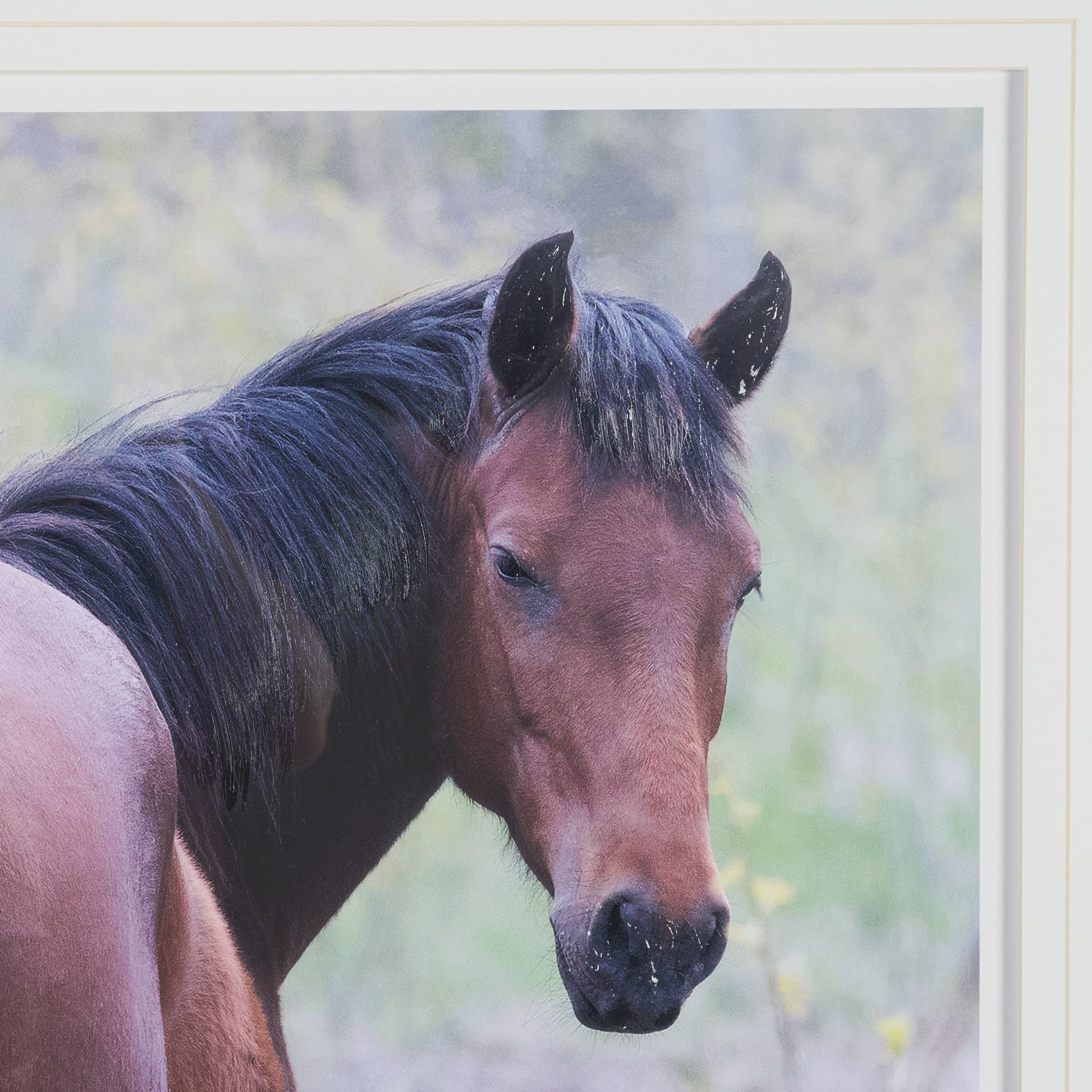 A Watchful Bond by Chad Mackay Hand Embelished Framed Art Print Matted under Glass — product photograph