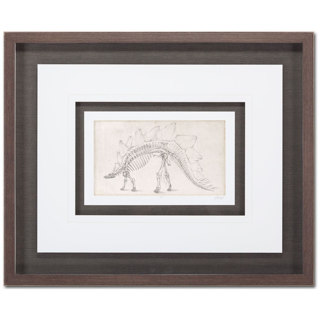 Custom Dinosaur Study III (MC) by Harper, Ethan a Framed Art Print Matted under Glass — product photograph