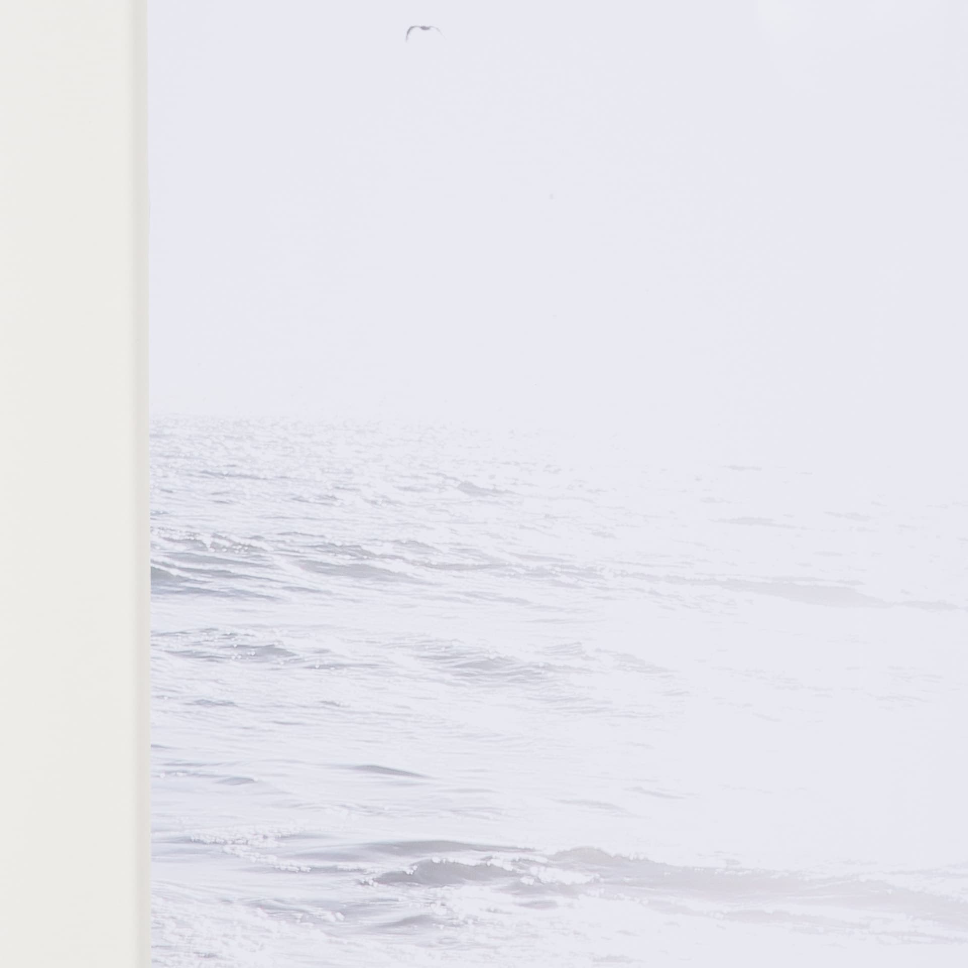 Surfing the Horizon by Shot By Clint Framed Photo Print Matted under Glass — product photograph