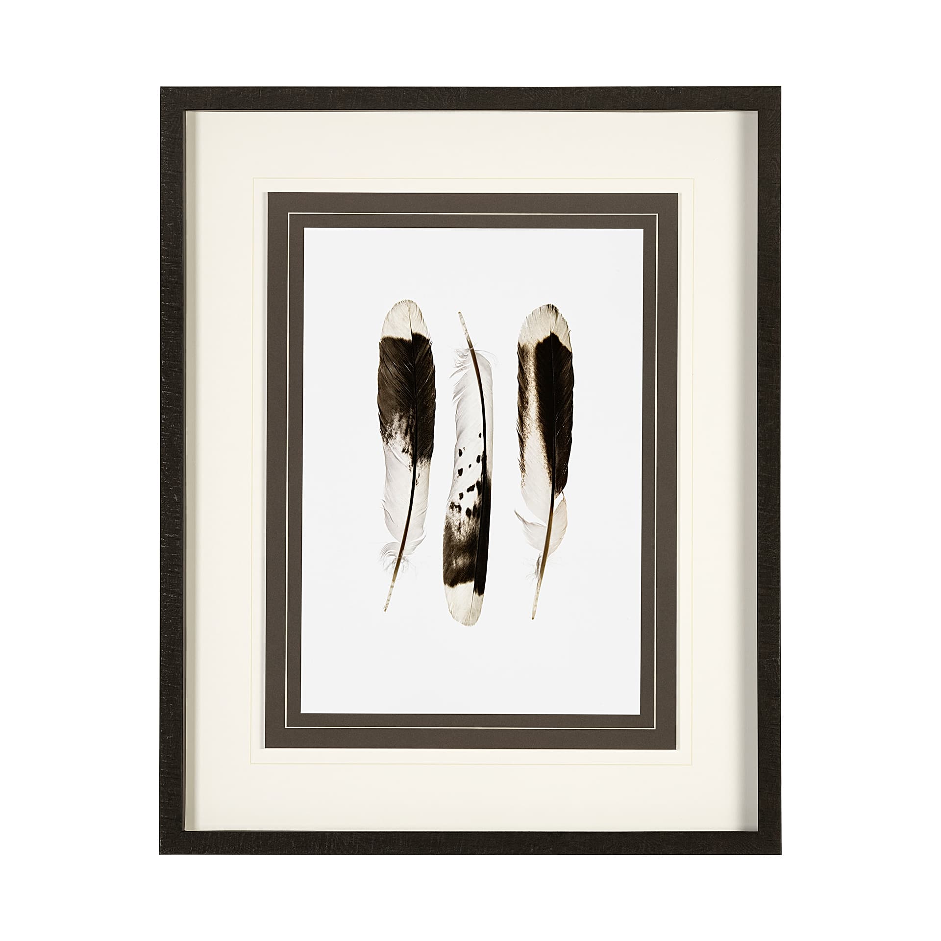 Flock together by Nancy Crowell a Framed Art Print Matted under Glass — product photograph