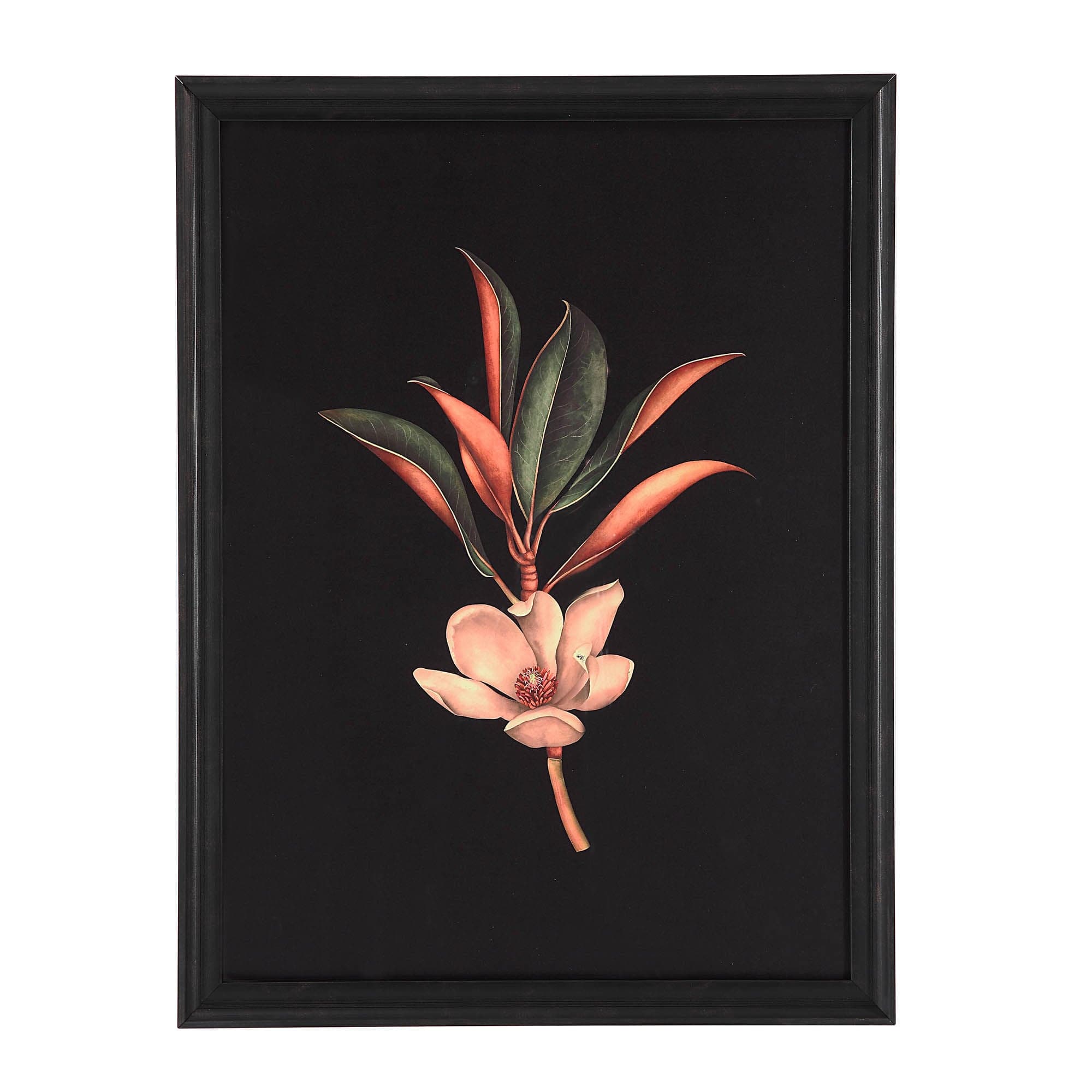 Wallflower — product photograph
