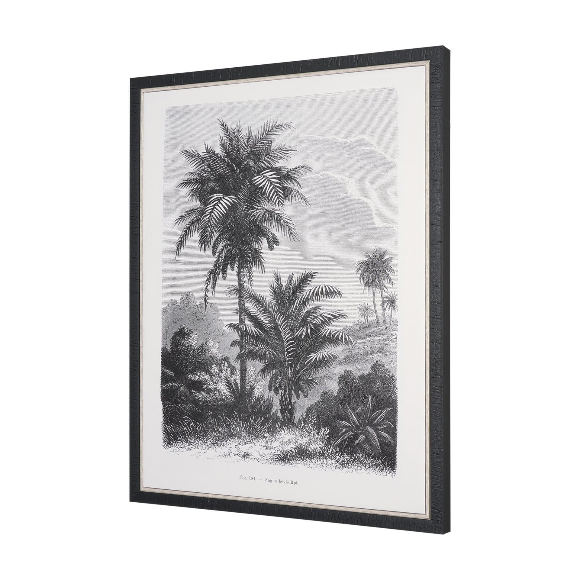 Vintage Palm Tree Drawing V by Les Palmiers Histoire a Hand Embellished Textured Framed Canvas — product photograph