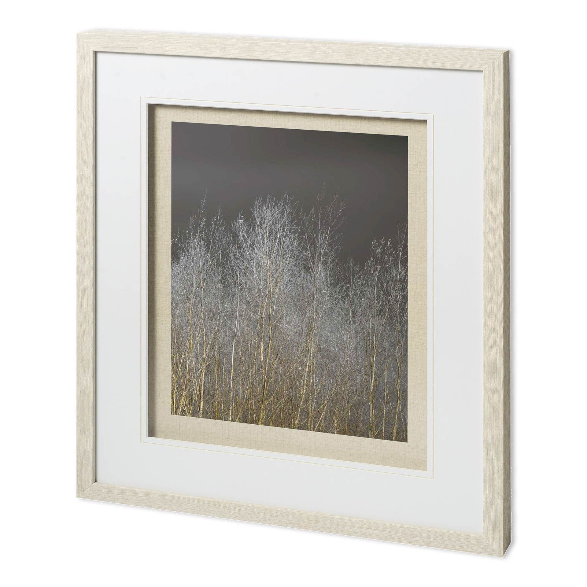 Silver Forest III by Frank, Assaf a Framed Photo Art Print Matted under Glass — product photograph