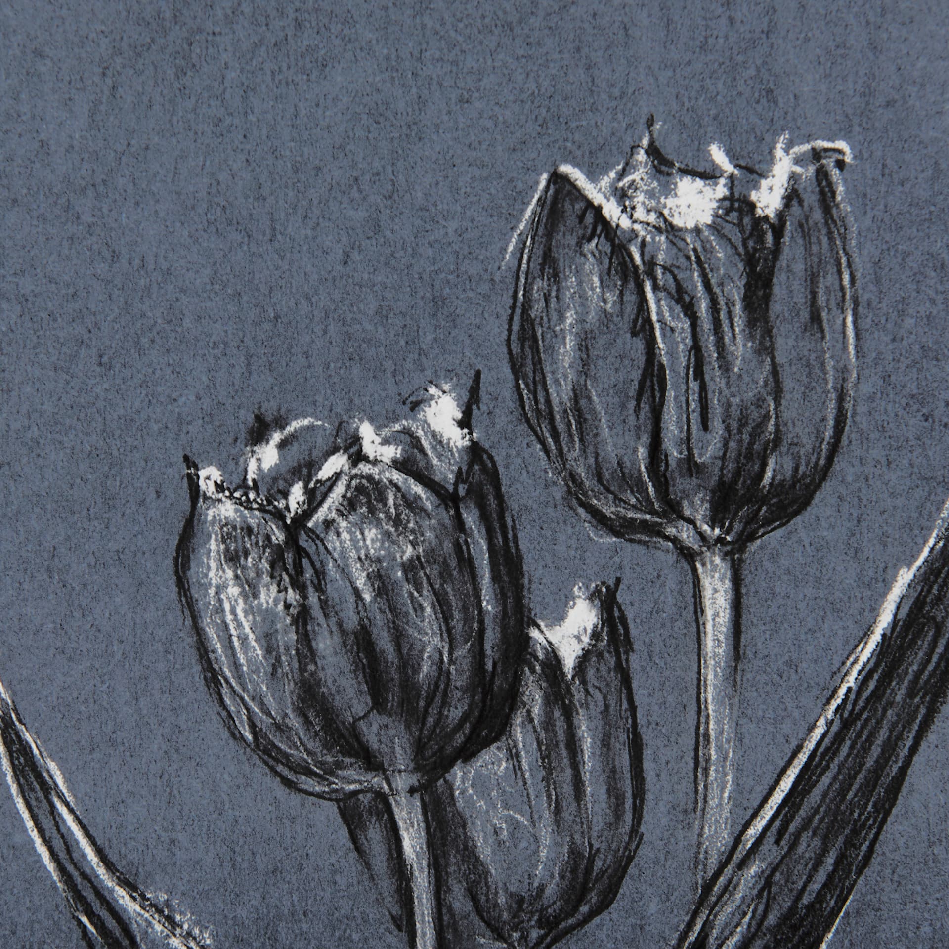 Botanical sketches I (Blue) by Mercana Studio Hand Embellished Framed Art Print Matted under Glass — product photograph