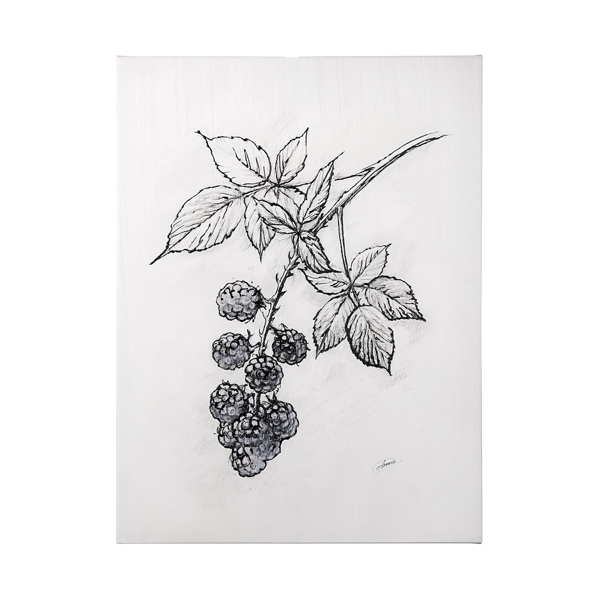 Wildberry Collection Blackberry by Ariana a Hand Embellished Textured Canvas — product photograph