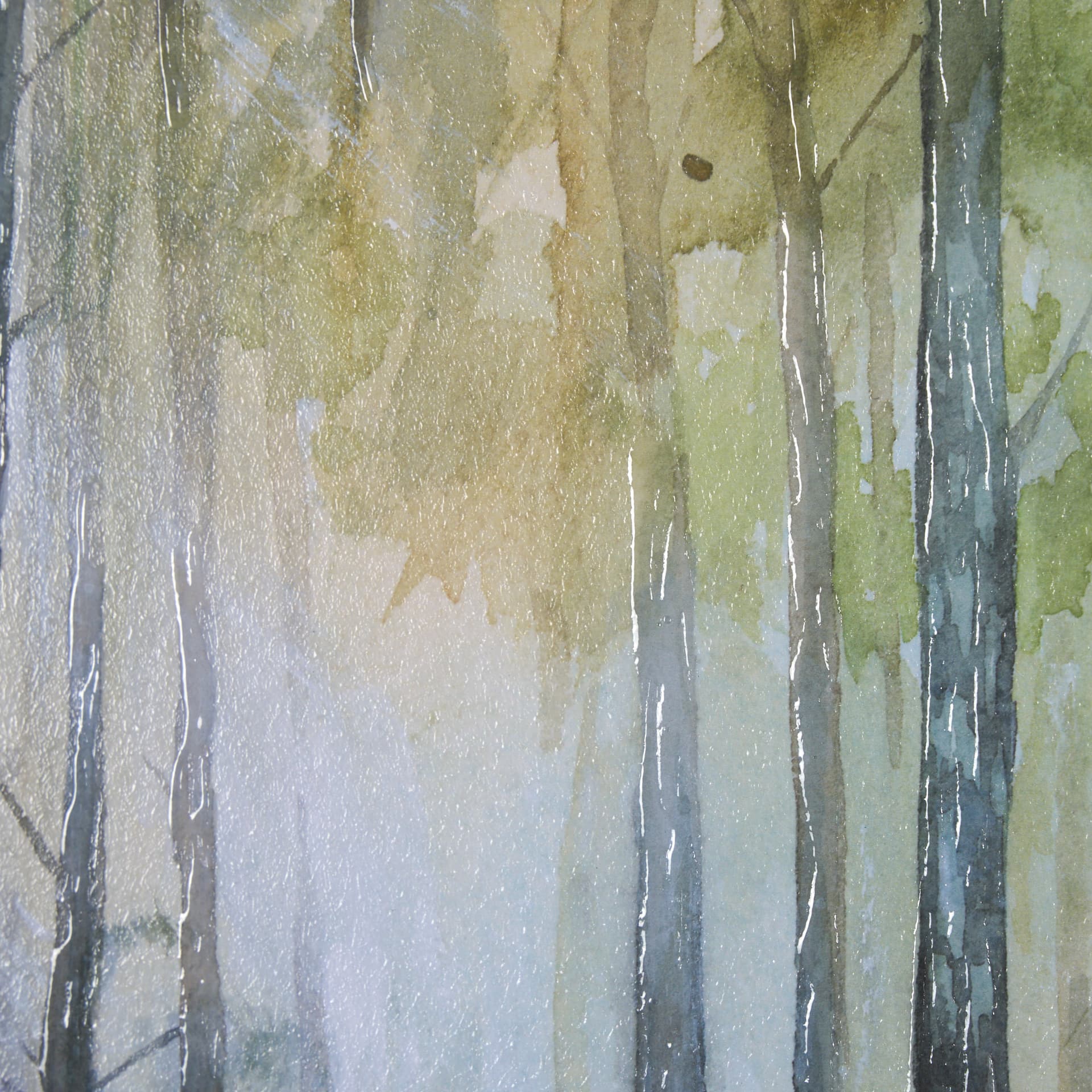 Spring Light II by Mercana Studio a Hand Embelished Textured Framed Art Print Matted under Glass — product photograph